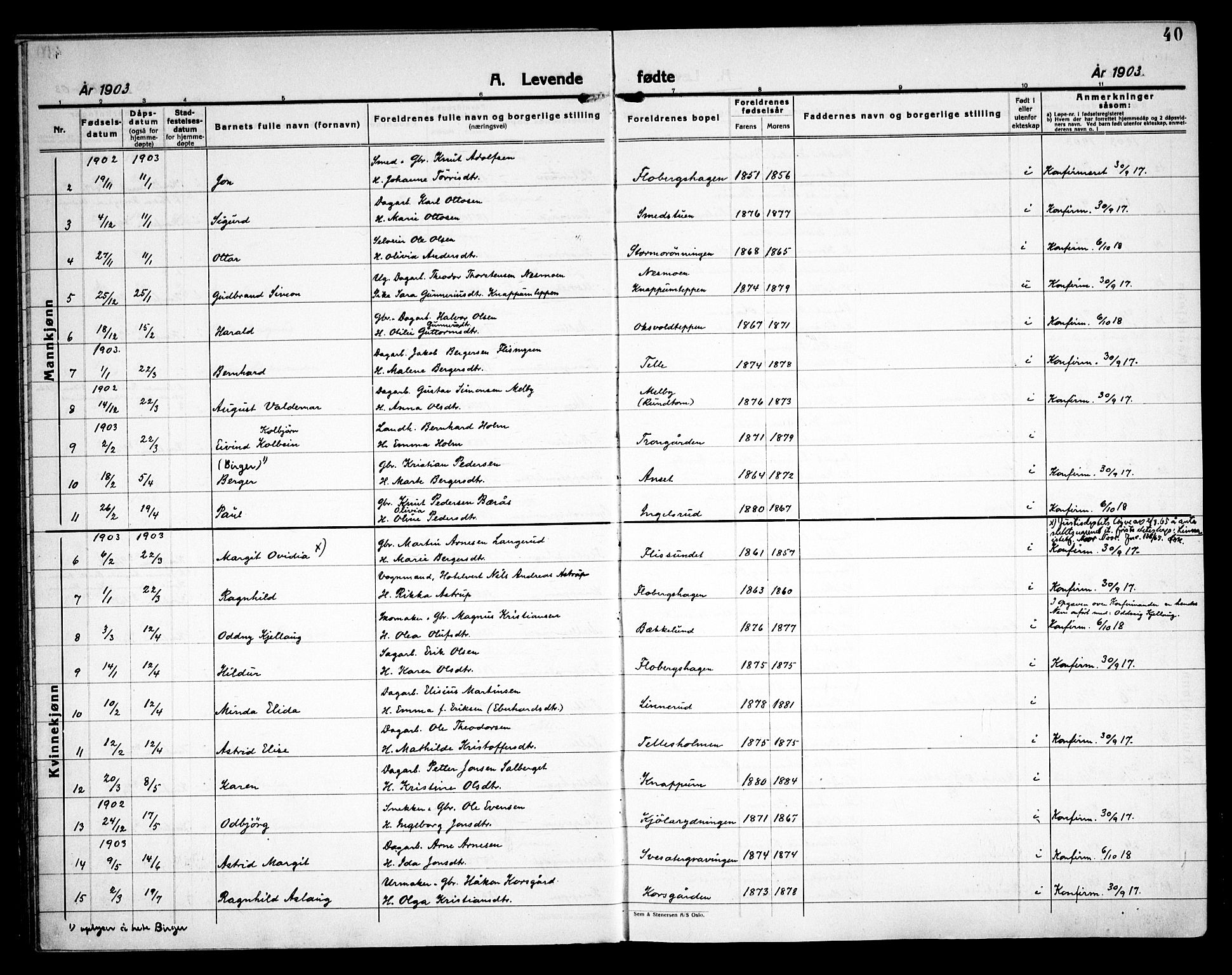 Åsnes prestekontor, AV/SAH-PREST-042/H/Ha/Haa/L0000C: Ministerialbok nr. 0A, 1890-1929, s. 40