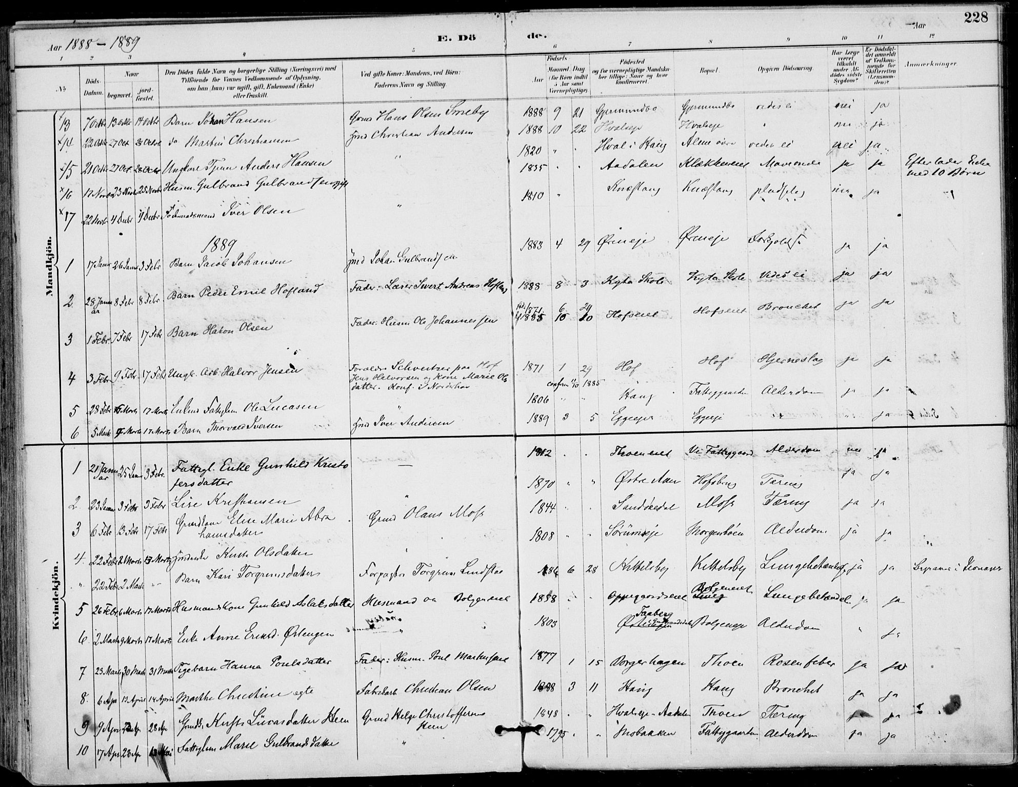 Haug kirkebøker, AV/SAKO-A-604/F/Fa/L0001: Ministerialbok nr. 1, 1885-1917, s. 228