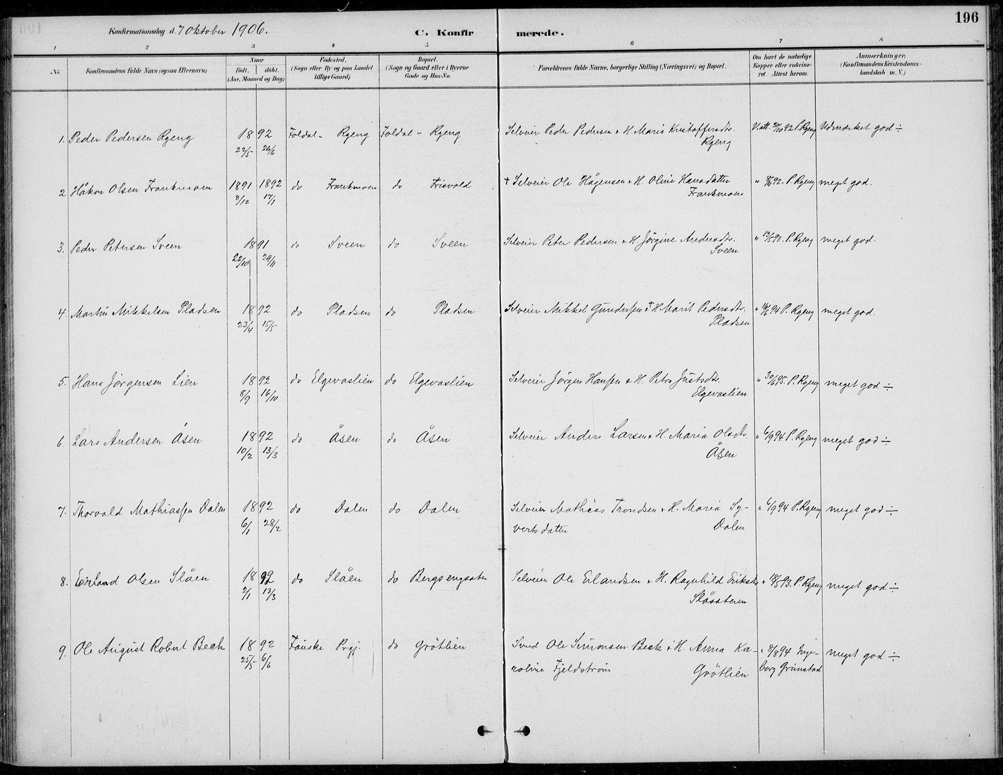 Alvdal prestekontor, SAH/PREST-060/H/Ha/Haa/L0003: Ministerialbok nr. 3, 1886-1912, s. 196