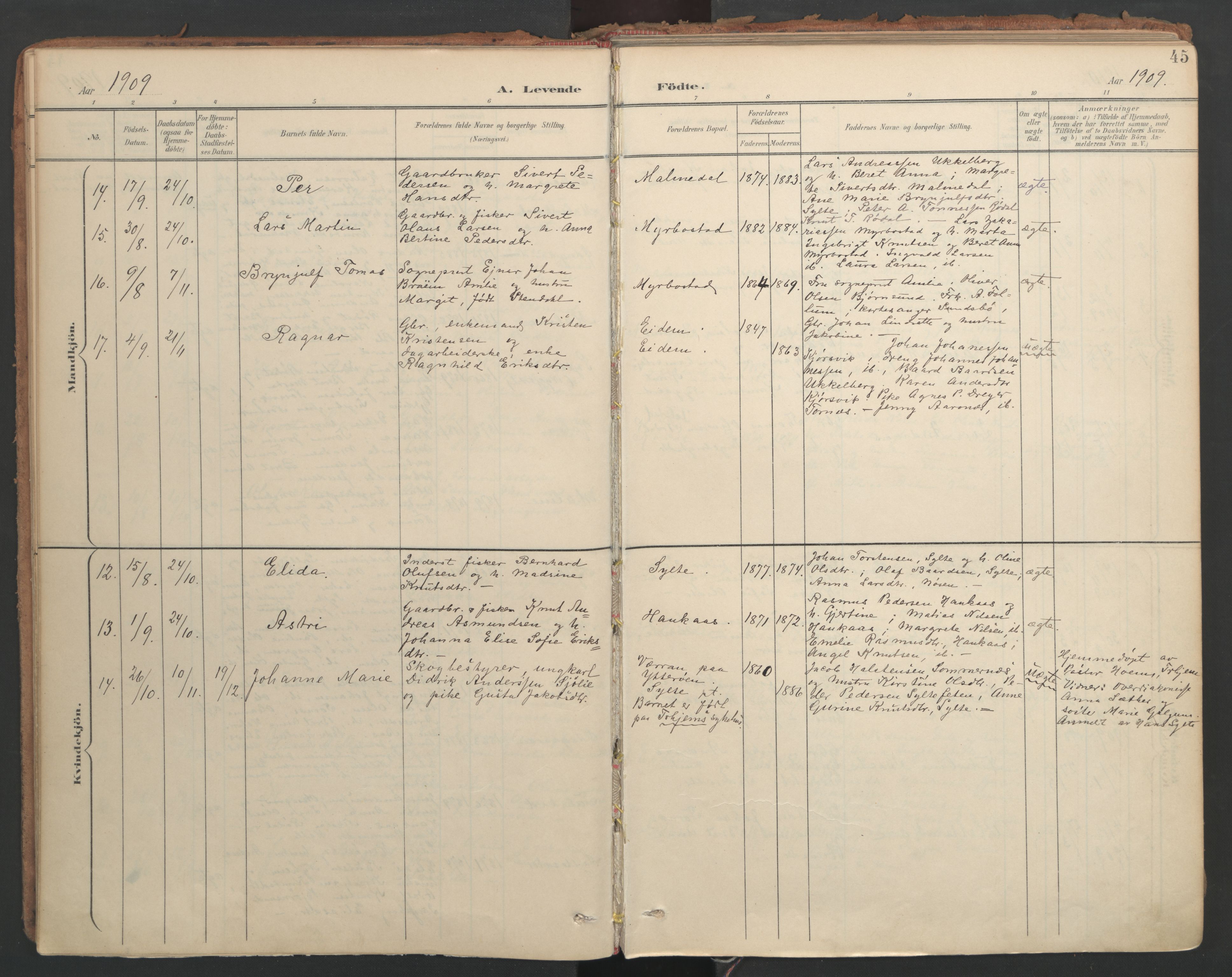 Ministerialprotokoller, klokkerbøker og fødselsregistre - Møre og Romsdal, AV/SAT-A-1454/564/L0741: Ministerialbok nr. 564A02, 1900-1976, s. 45