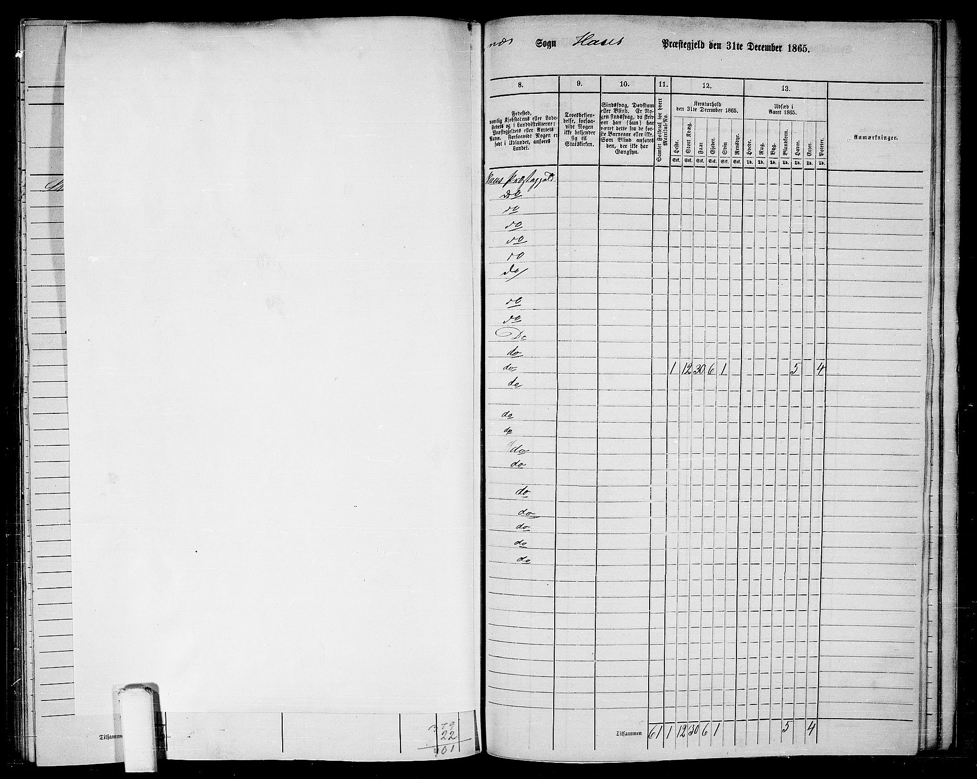 RA, Folketelling 1865 for 1250P Haus prestegjeld, 1865, s. 249