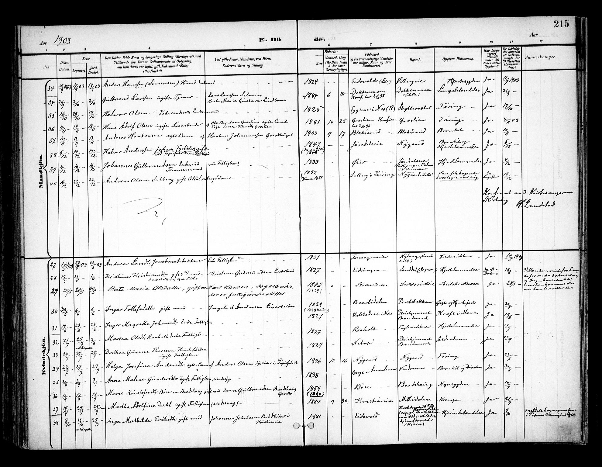 Eidsvoll prestekontor Kirkebøker, AV/SAO-A-10888/F/Fa/L0006: Ministerialbok nr. I 6, 1900-1907, s. 215