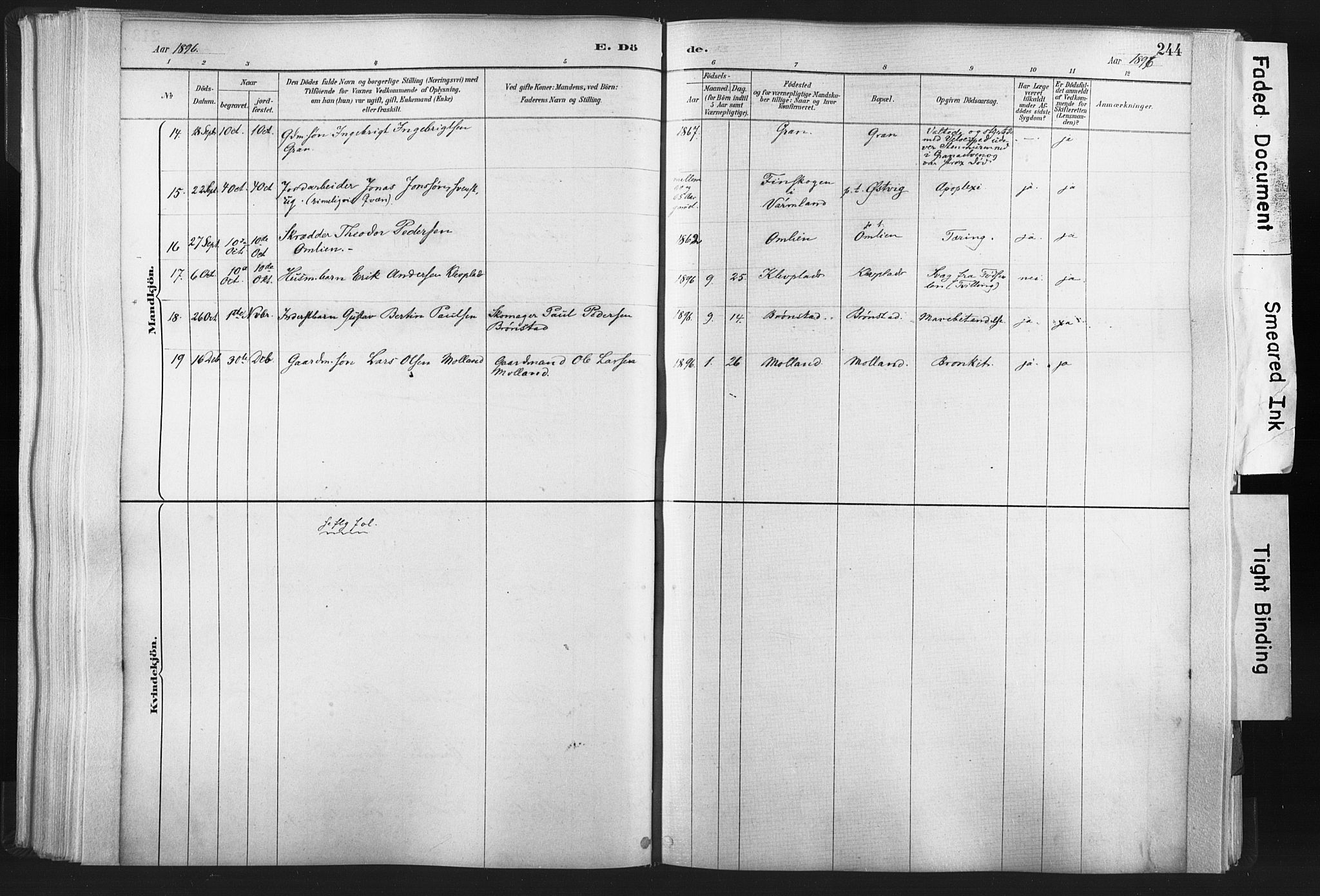 Ministerialprotokoller, klokkerbøker og fødselsregistre - Nord-Trøndelag, AV/SAT-A-1458/749/L0474: Ministerialbok nr. 749A08, 1887-1903, s. 244