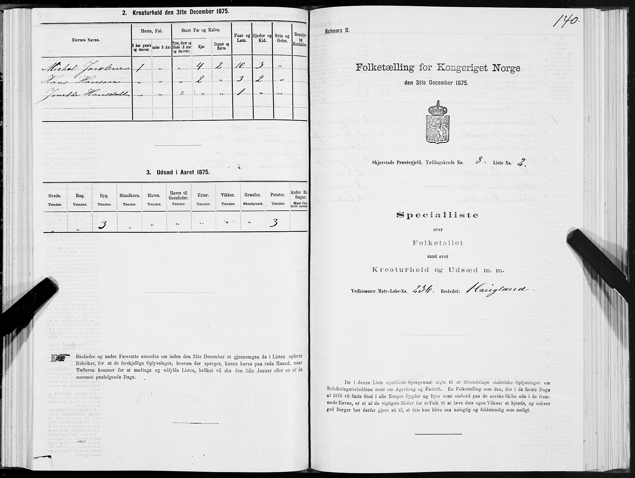 SAT, Folketelling 1875 for 1842P Skjerstad prestegjeld, 1875, s. 4140