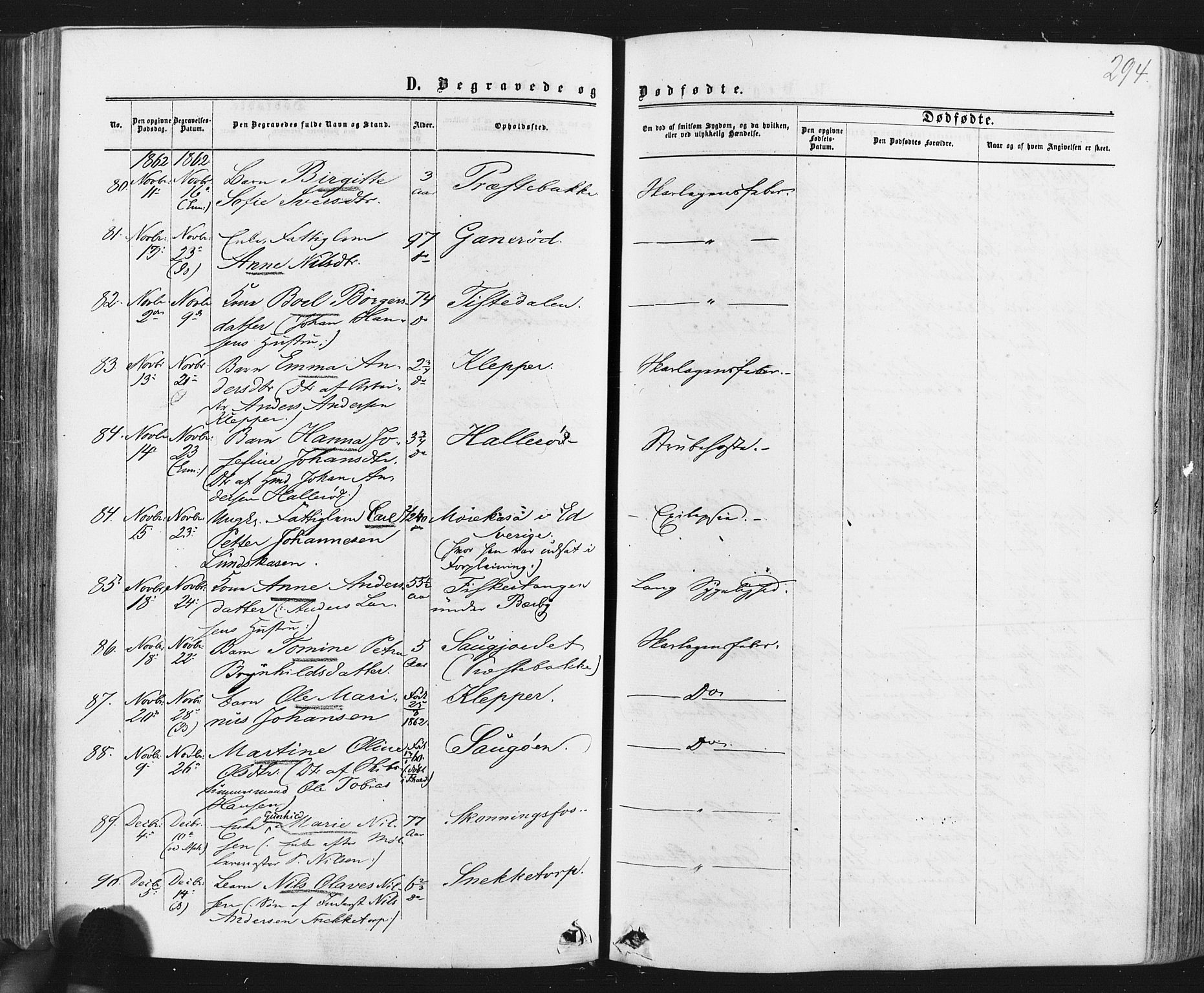 Idd prestekontor Kirkebøker, AV/SAO-A-10911/F/Fc/L0005: Ministerialbok nr. III 5, 1861-1877, s. 294