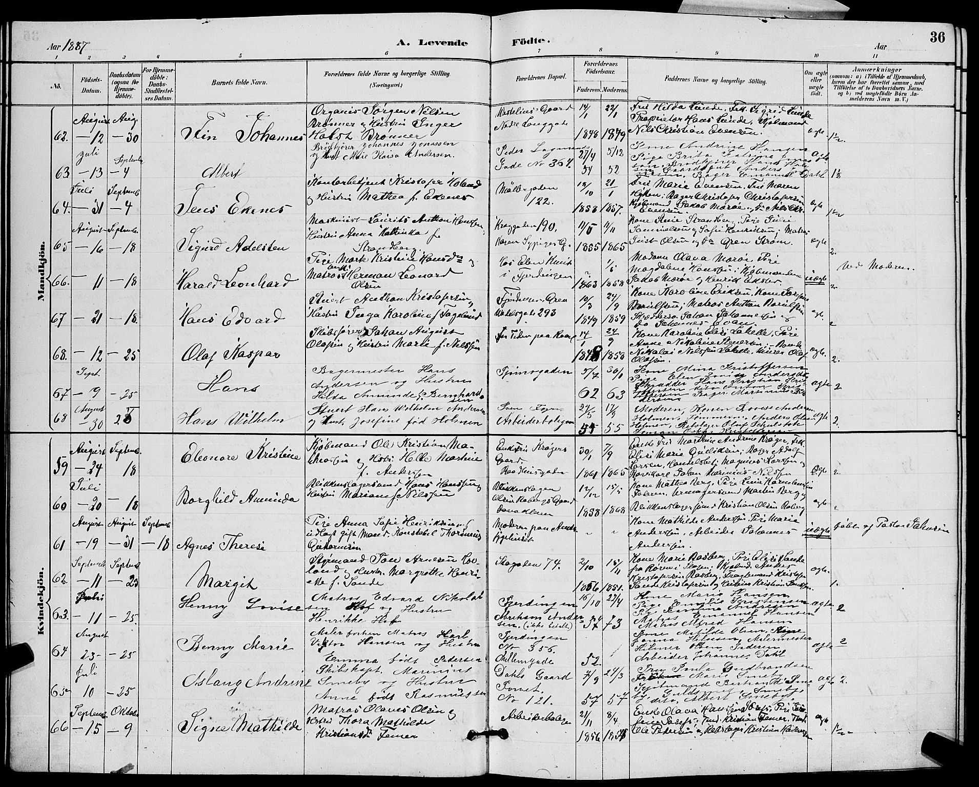 Tønsberg kirkebøker, AV/SAKO-A-330/G/Ga/L0006: Klokkerbok nr. 6, 1885-1895, s. 36