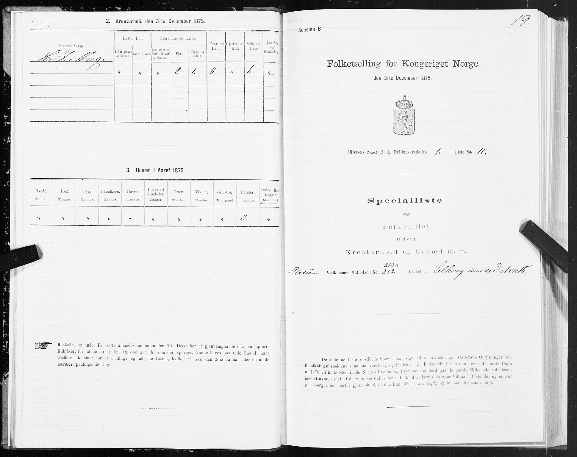 SAT, Folketelling 1875 for 1617P Hitra prestegjeld, 1875, s. 1019