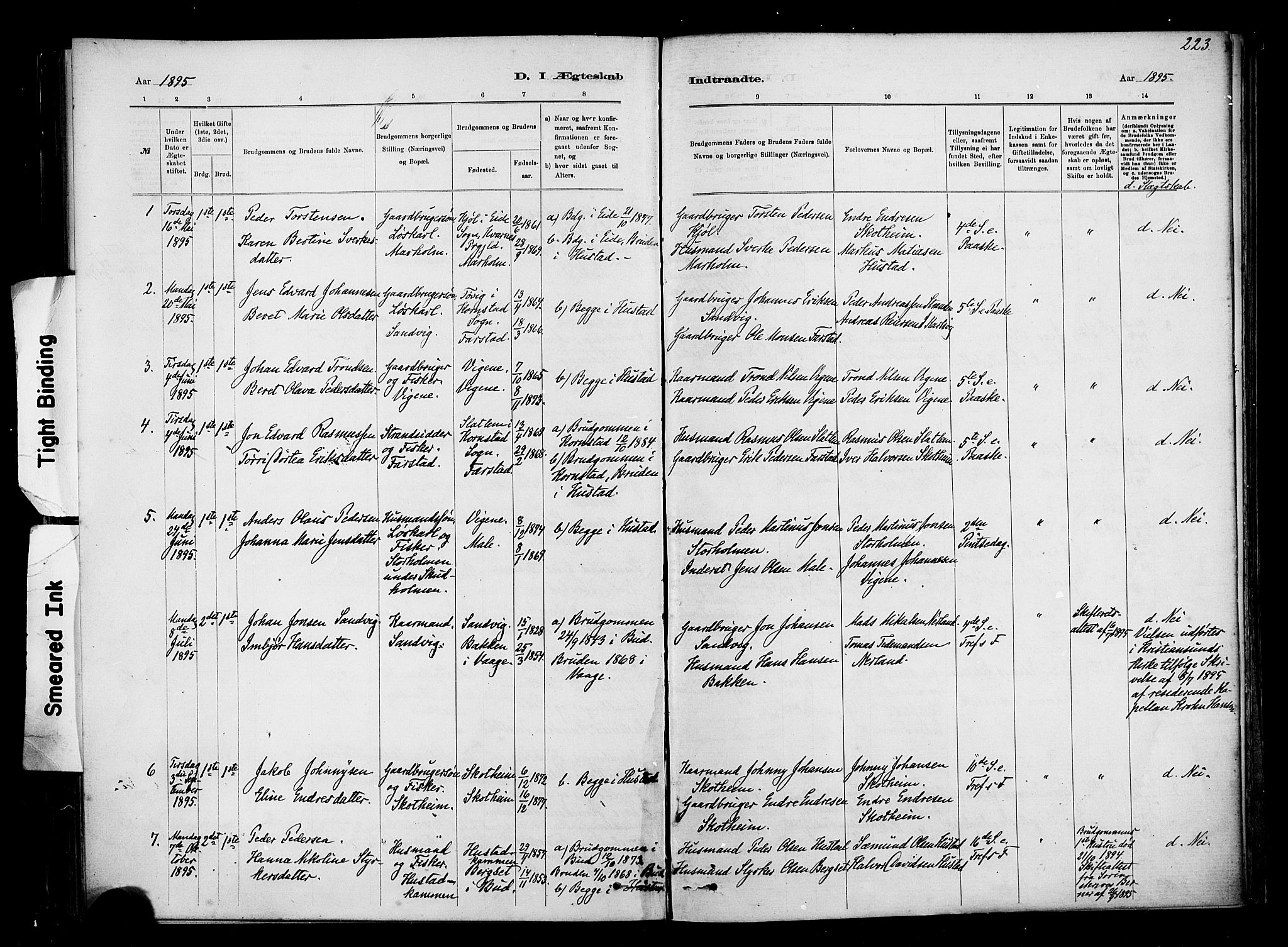 Ministerialprotokoller, klokkerbøker og fødselsregistre - Møre og Romsdal, SAT/A-1454/567/L0778: Ministerialbok nr. 567A01, 1881-1903, s. 223