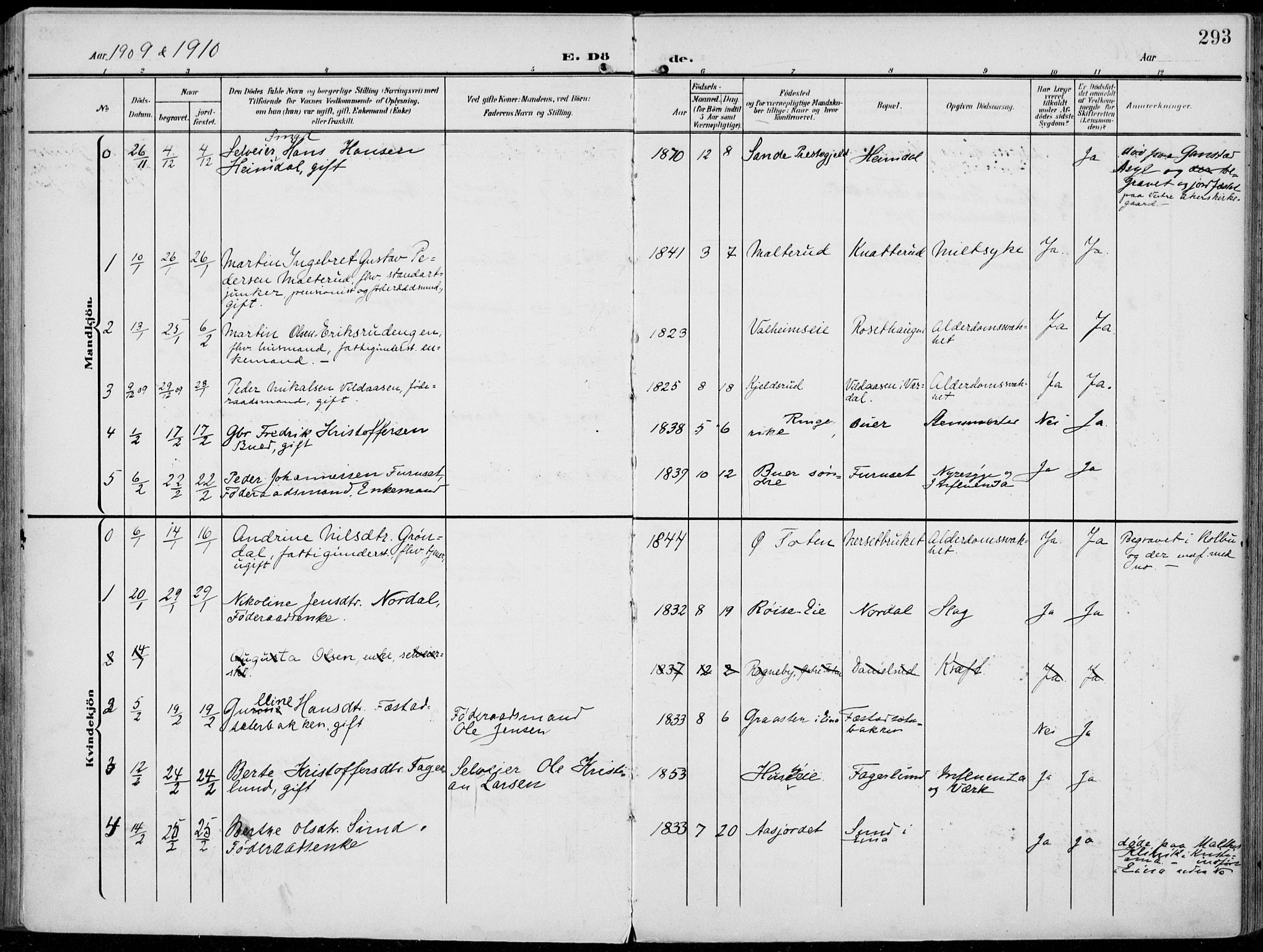 Vestre Toten prestekontor, AV/SAH-PREST-108/H/Ha/Haa/L0014: Ministerialbok nr. 14, 1907-1920, s. 293