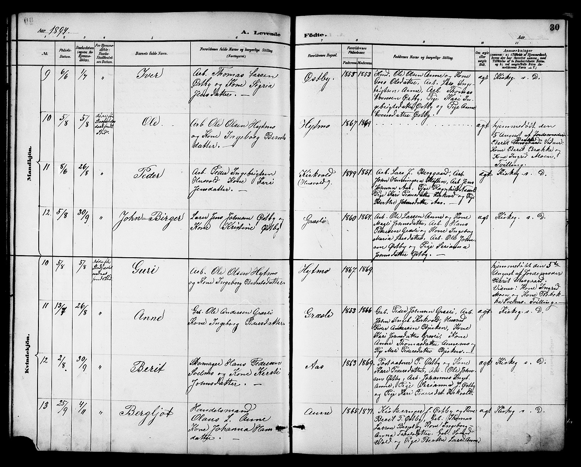 Ministerialprotokoller, klokkerbøker og fødselsregistre - Sør-Trøndelag, AV/SAT-A-1456/698/L1167: Klokkerbok nr. 698C04, 1888-1907, s. 30