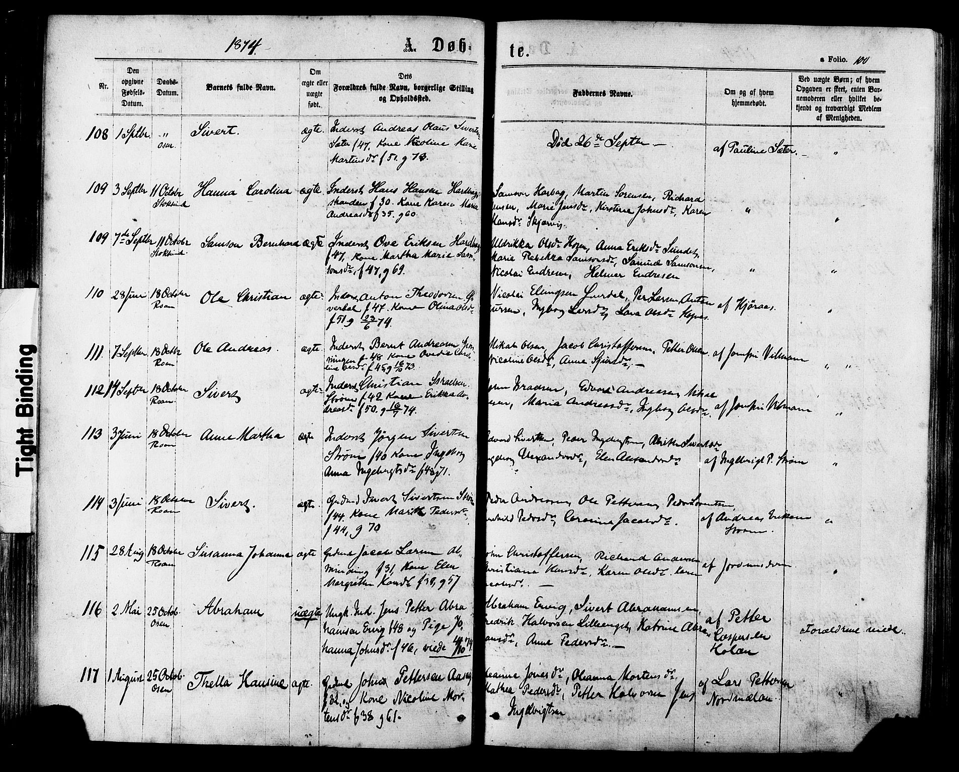 Ministerialprotokoller, klokkerbøker og fødselsregistre - Sør-Trøndelag, AV/SAT-A-1456/657/L0706: Ministerialbok nr. 657A07, 1867-1878, s. 100