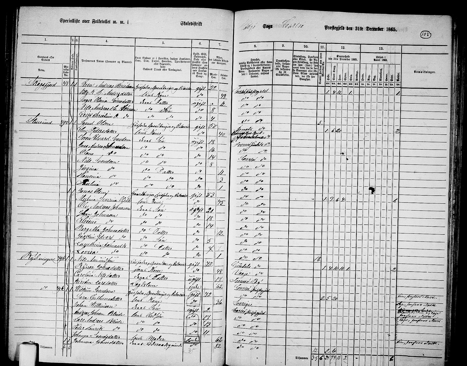 RA, Folketelling 1865 for 1936P Karlsøy prestegjeld, 1865, s. 100
