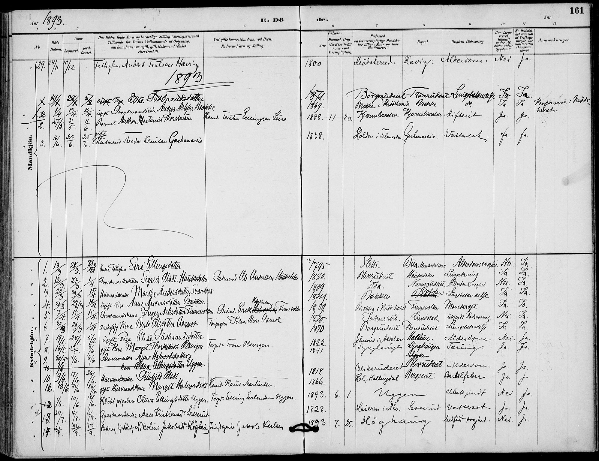 Lunder kirkebøker, AV/SAKO-A-629/F/Fa/L0001: Ministerialbok nr. I 1, 1885-1912, s. 161
