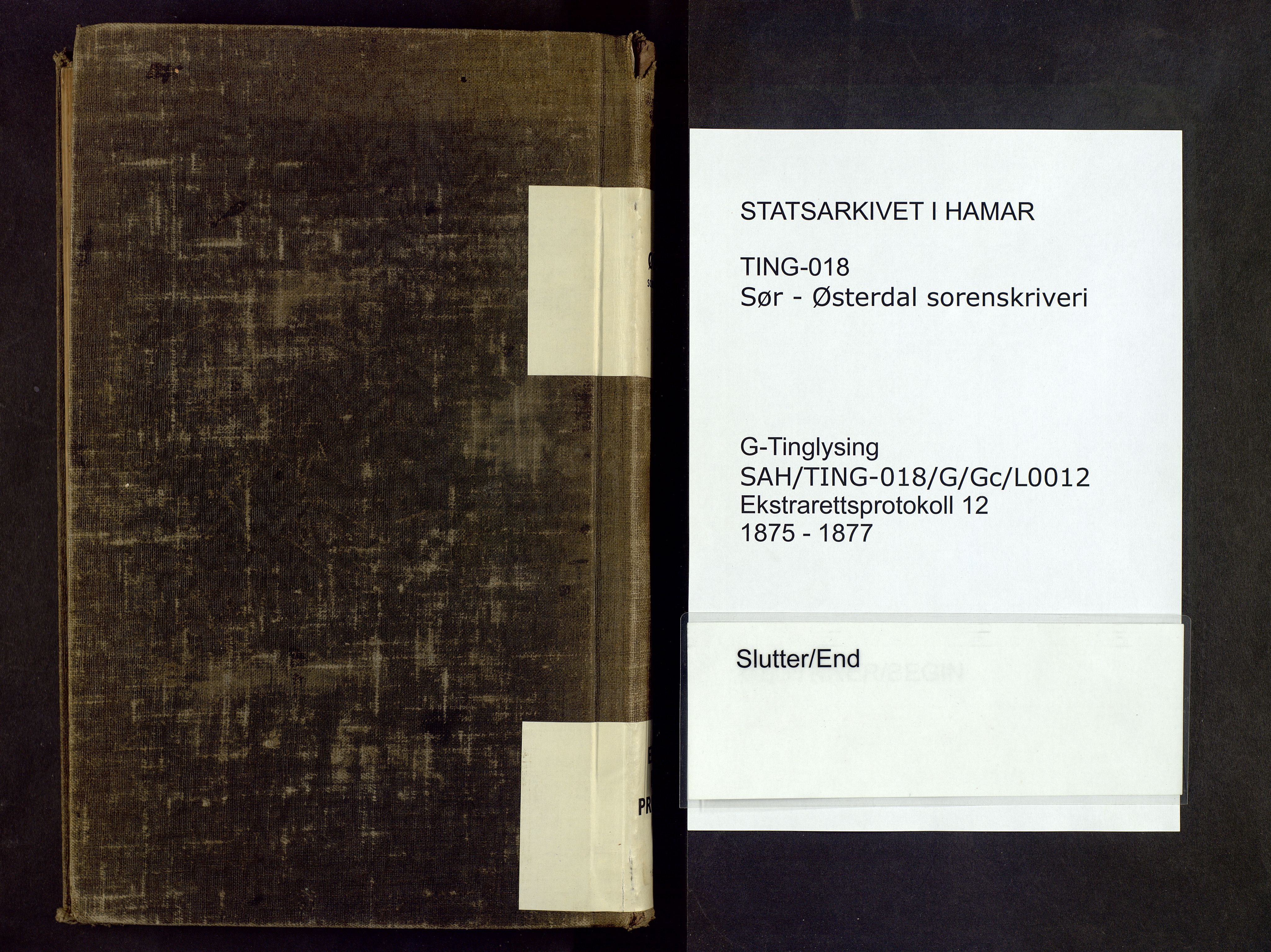 Sør-Østerdal sorenskriveri, SAH/TING-018/G/Gc/L0012: Ekstrarettsprotokoll, 1875-1877