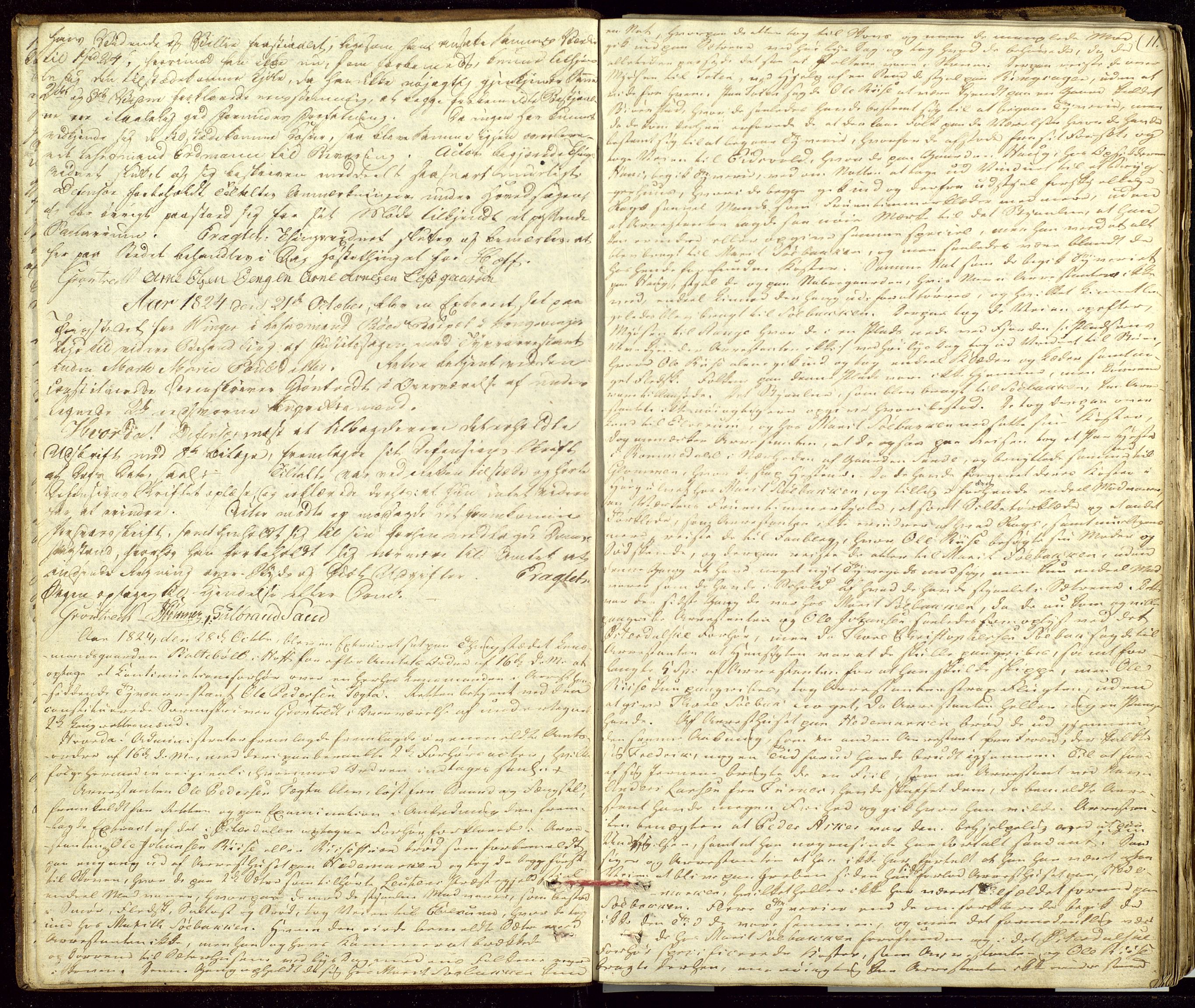 Solør og Odalen sorenskriveri, AV/SAH-TING-026/G/Gc/Gca/L0014: Justis- og politisaker, 1824-1827, s. 11