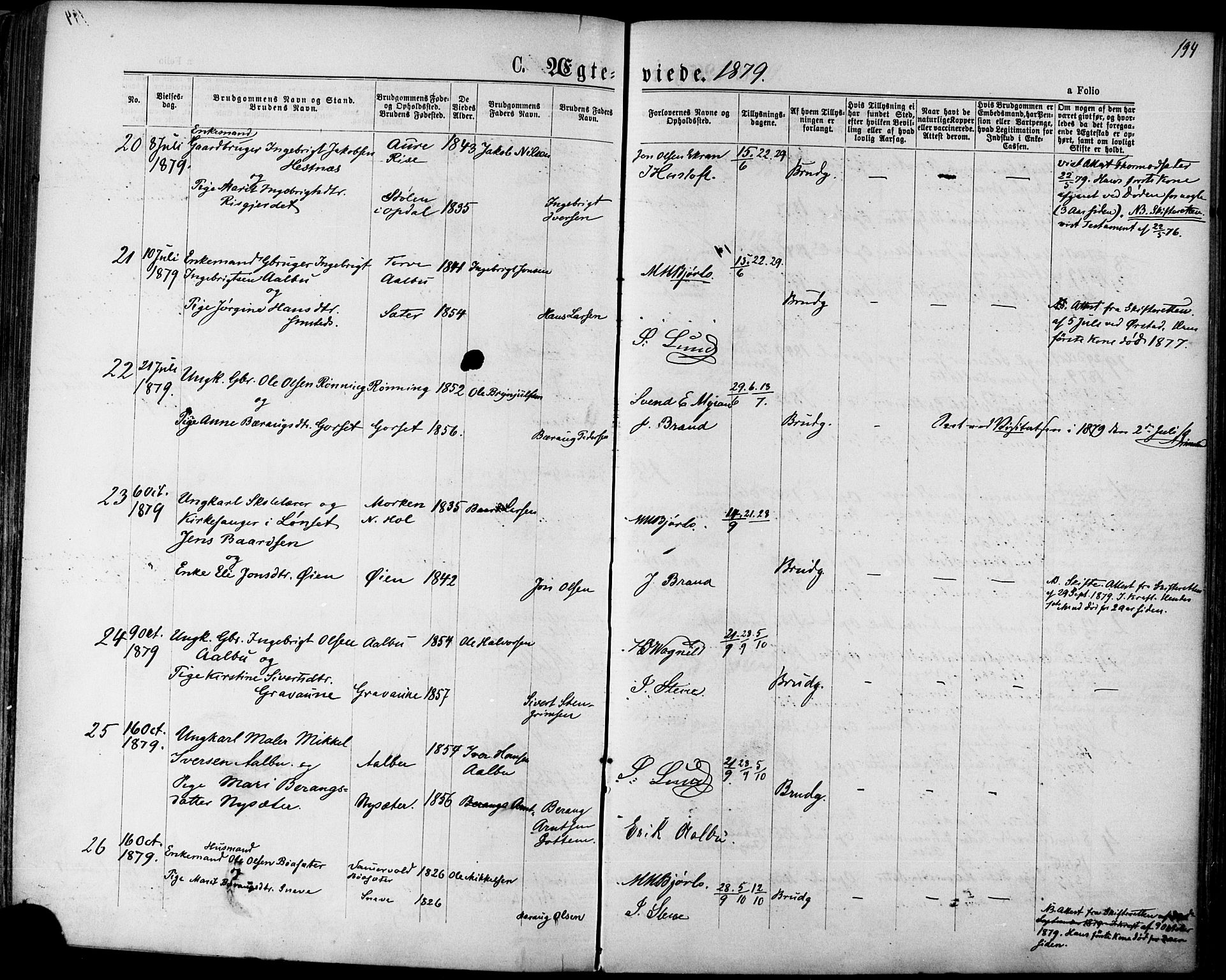 Ministerialprotokoller, klokkerbøker og fødselsregistre - Sør-Trøndelag, SAT/A-1456/678/L0900: Ministerialbok nr. 678A09, 1872-1881, s. 194