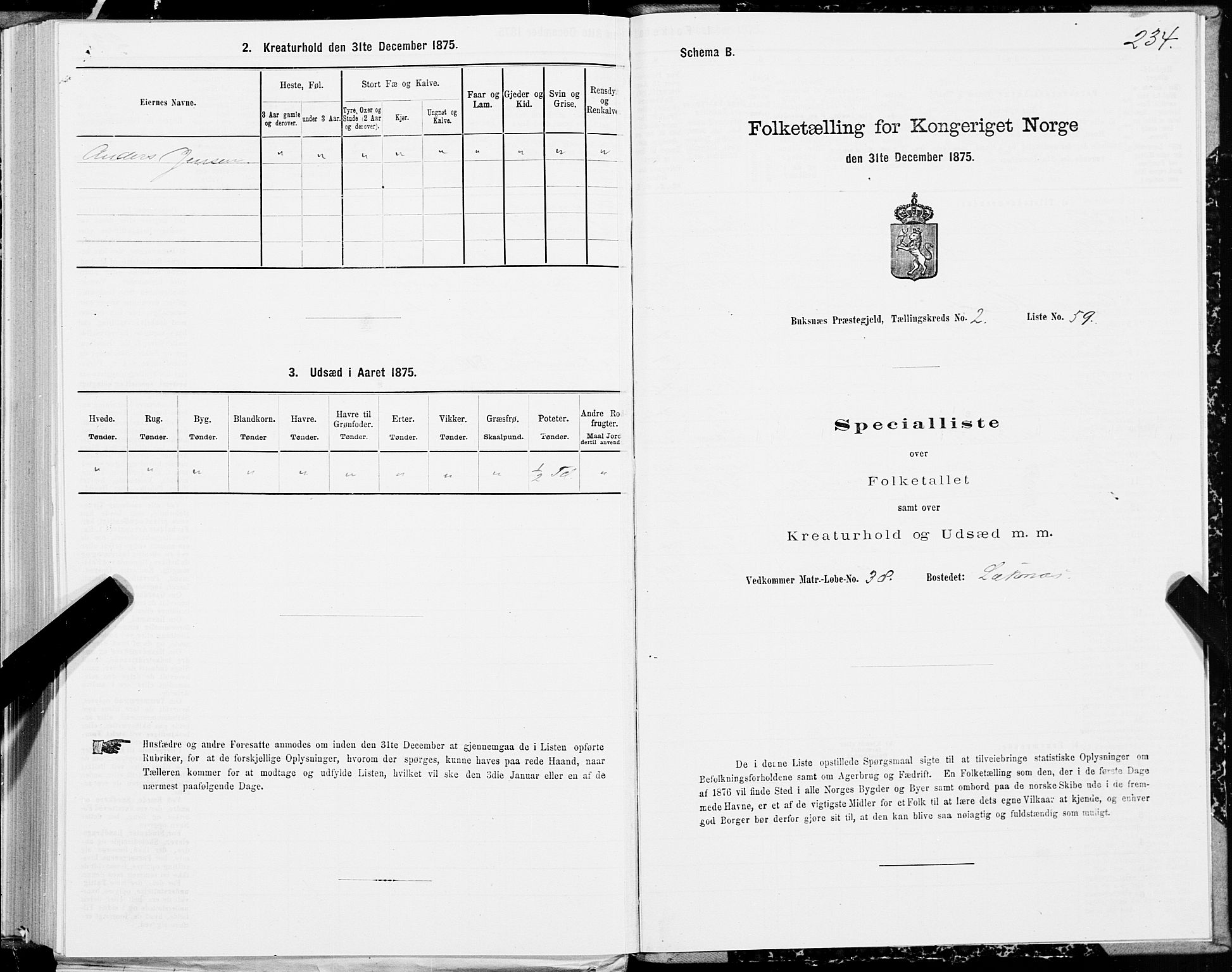 SAT, Folketelling 1875 for 1860P Buksnes prestegjeld, 1875, s. 1234