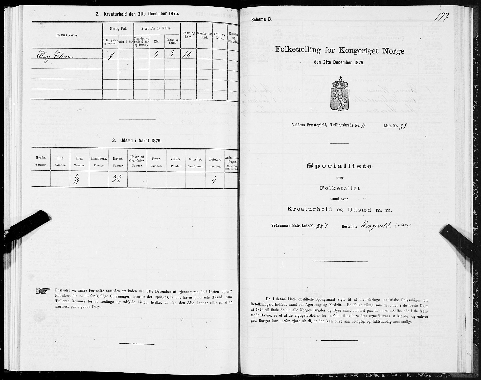 SAT, Folketelling 1875 for 1519P Volda prestegjeld, 1875, s. 6177