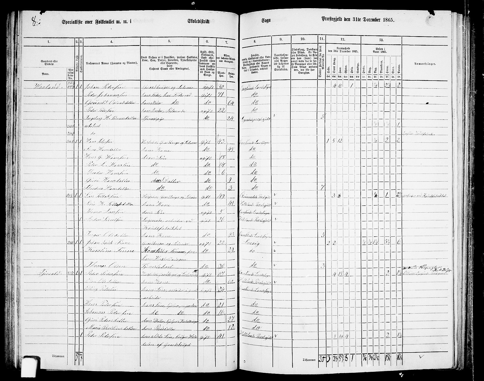 RA, Folketelling 1865 for 1116L Eigersund prestegjeld, Eigersund landsokn og Ogna sokn, 1865, s. 64