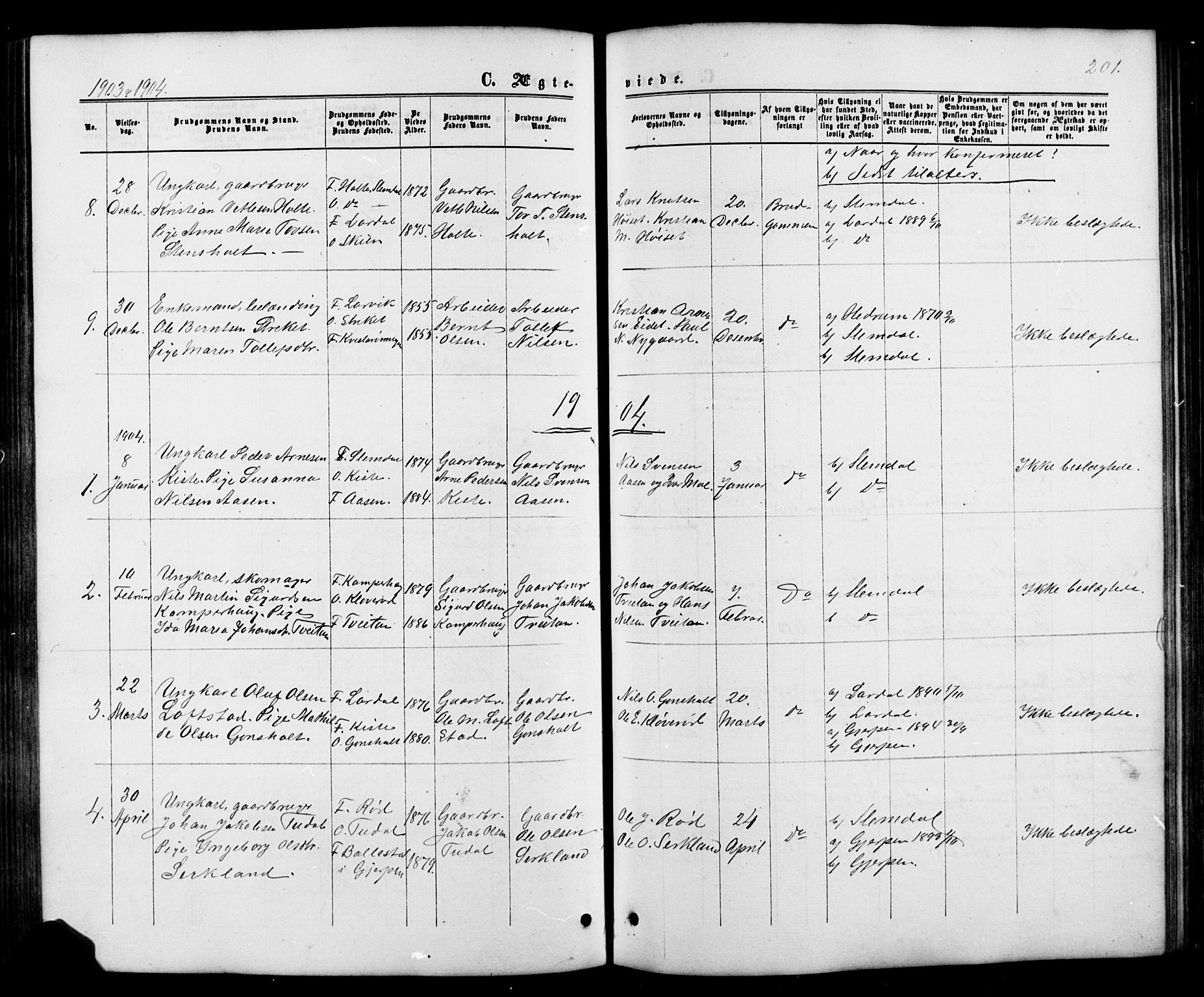 Siljan kirkebøker, AV/SAKO-A-300/G/Ga/L0002: Klokkerbok nr. 2, 1864-1908, s. 201