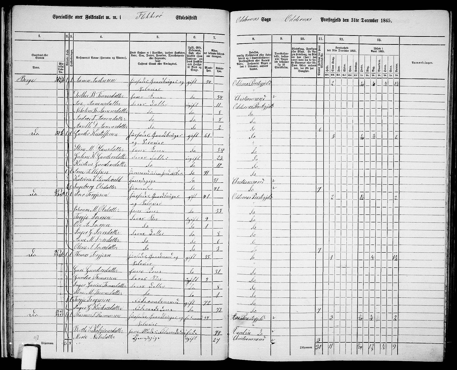 RA, Folketelling 1865 for 1012P Oddernes prestegjeld, 1865, s. 32