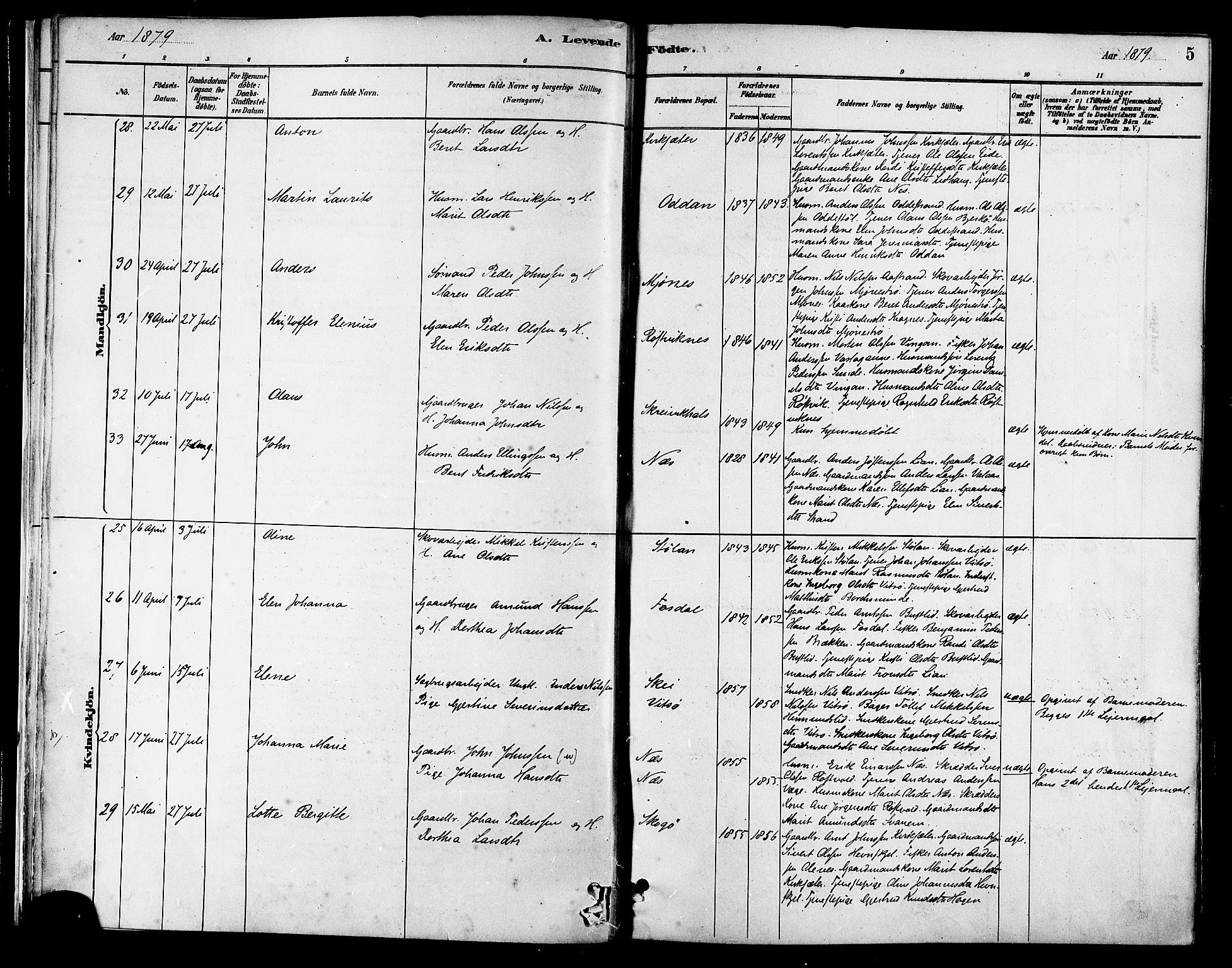 Ministerialprotokoller, klokkerbøker og fødselsregistre - Sør-Trøndelag, SAT/A-1456/630/L0496: Ministerialbok nr. 630A09, 1879-1895, s. 5