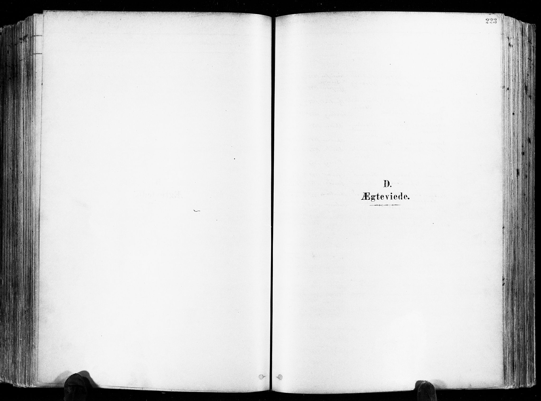 Skien kirkebøker, AV/SAKO-A-302/F/Fa/L0009: Ministerialbok nr. 9, 1878-1890, s. 223