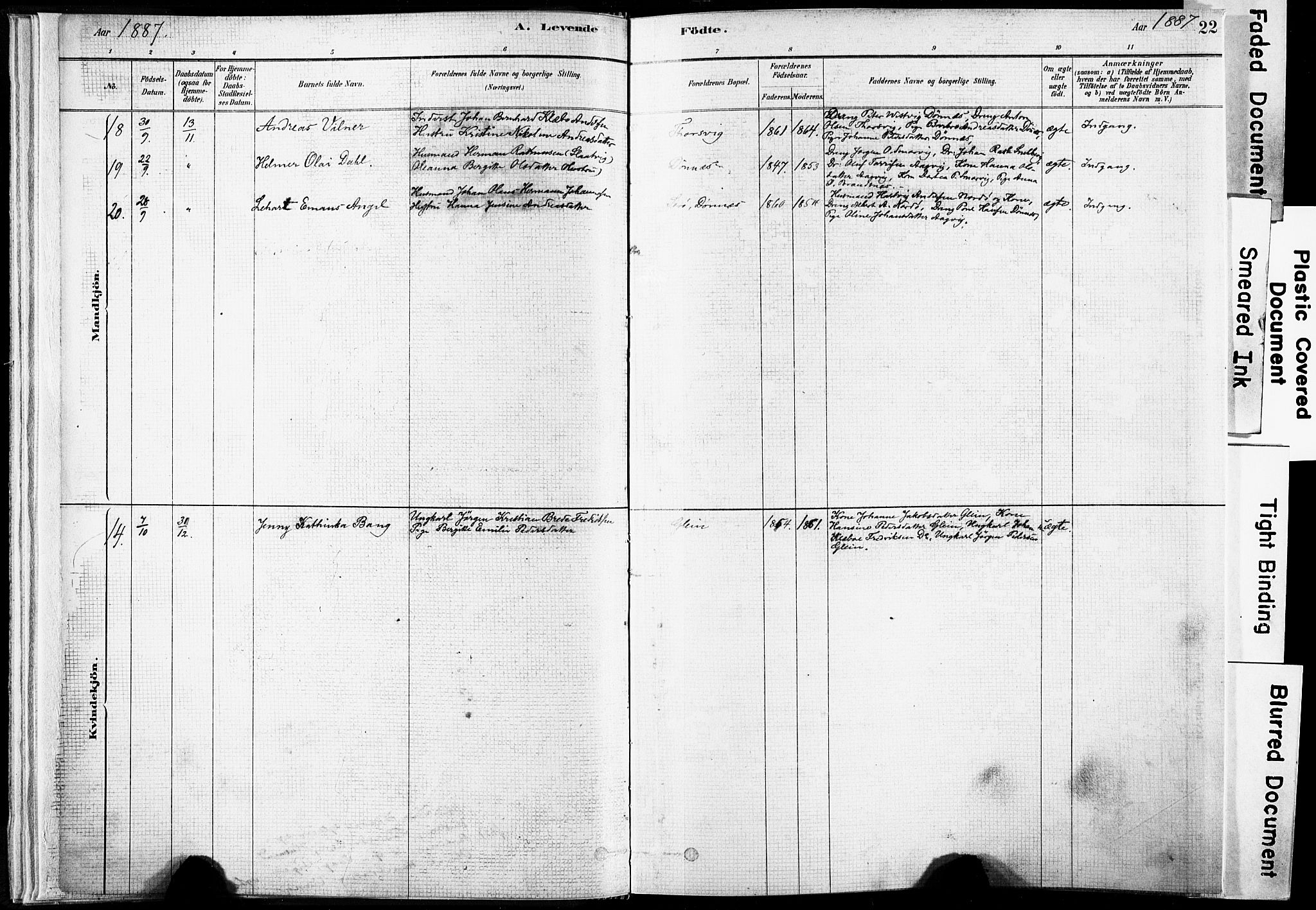 Ministerialprotokoller, klokkerbøker og fødselsregistre - Nordland, SAT/A-1459/835/L0525: Ministerialbok nr. 835A03I, 1881-1910, s. 22