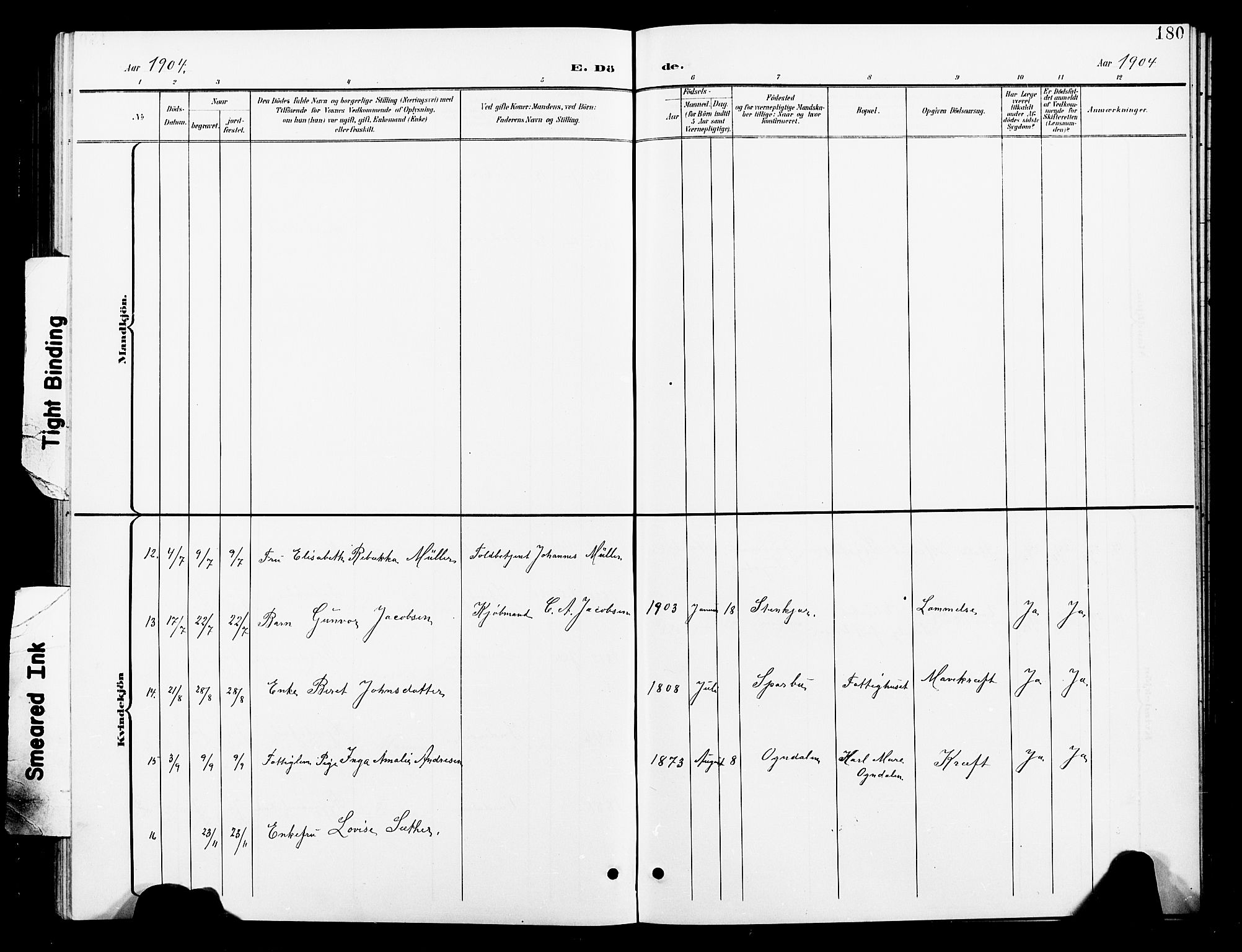 Ministerialprotokoller, klokkerbøker og fødselsregistre - Nord-Trøndelag, SAT/A-1458/739/L0375: Klokkerbok nr. 739C03, 1898-1908, s. 180