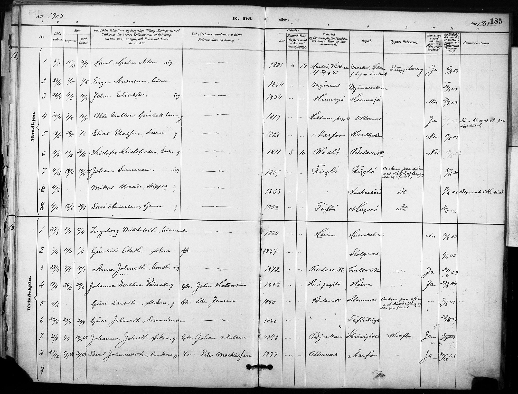 Ministerialprotokoller, klokkerbøker og fødselsregistre - Sør-Trøndelag, AV/SAT-A-1456/633/L0518: Ministerialbok nr. 633A01, 1884-1906, s. 185