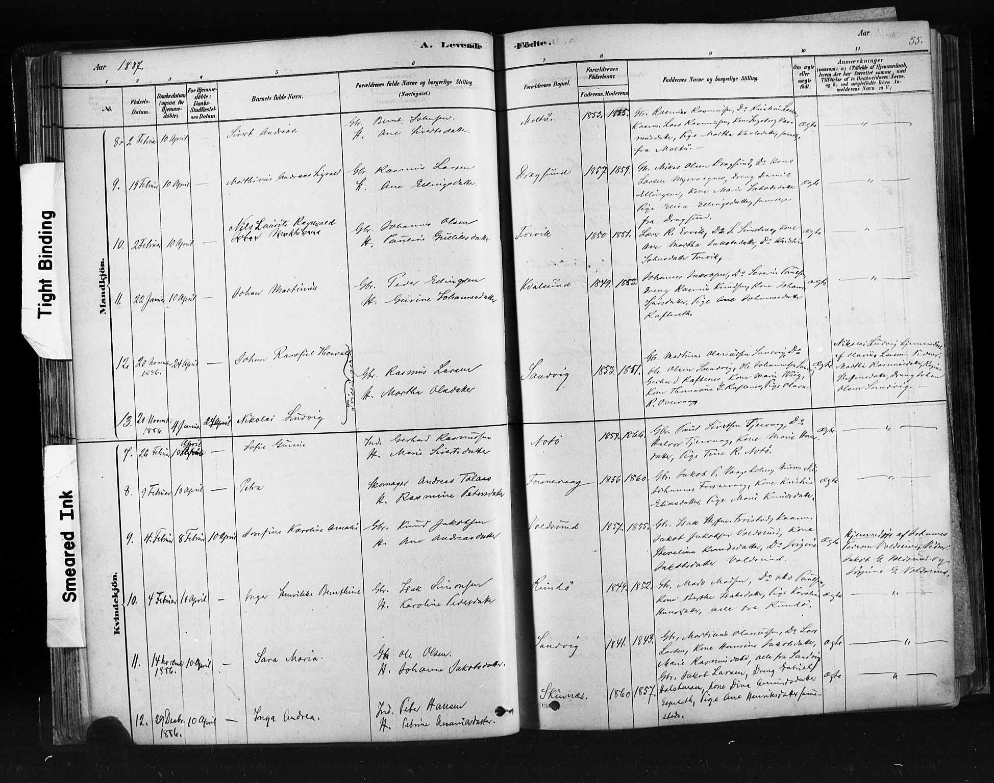 Ministerialprotokoller, klokkerbøker og fødselsregistre - Møre og Romsdal, SAT/A-1454/507/L0073: Ministerialbok nr. 507A08, 1878-1904, s. 55