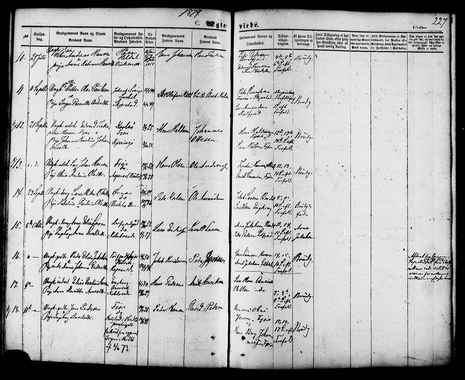 Ministerialprotokoller, klokkerbøker og fødselsregistre - Nordland, AV/SAT-A-1459/853/L0771: Ministerialbok nr. 853A10, 1870-1881, s. 227