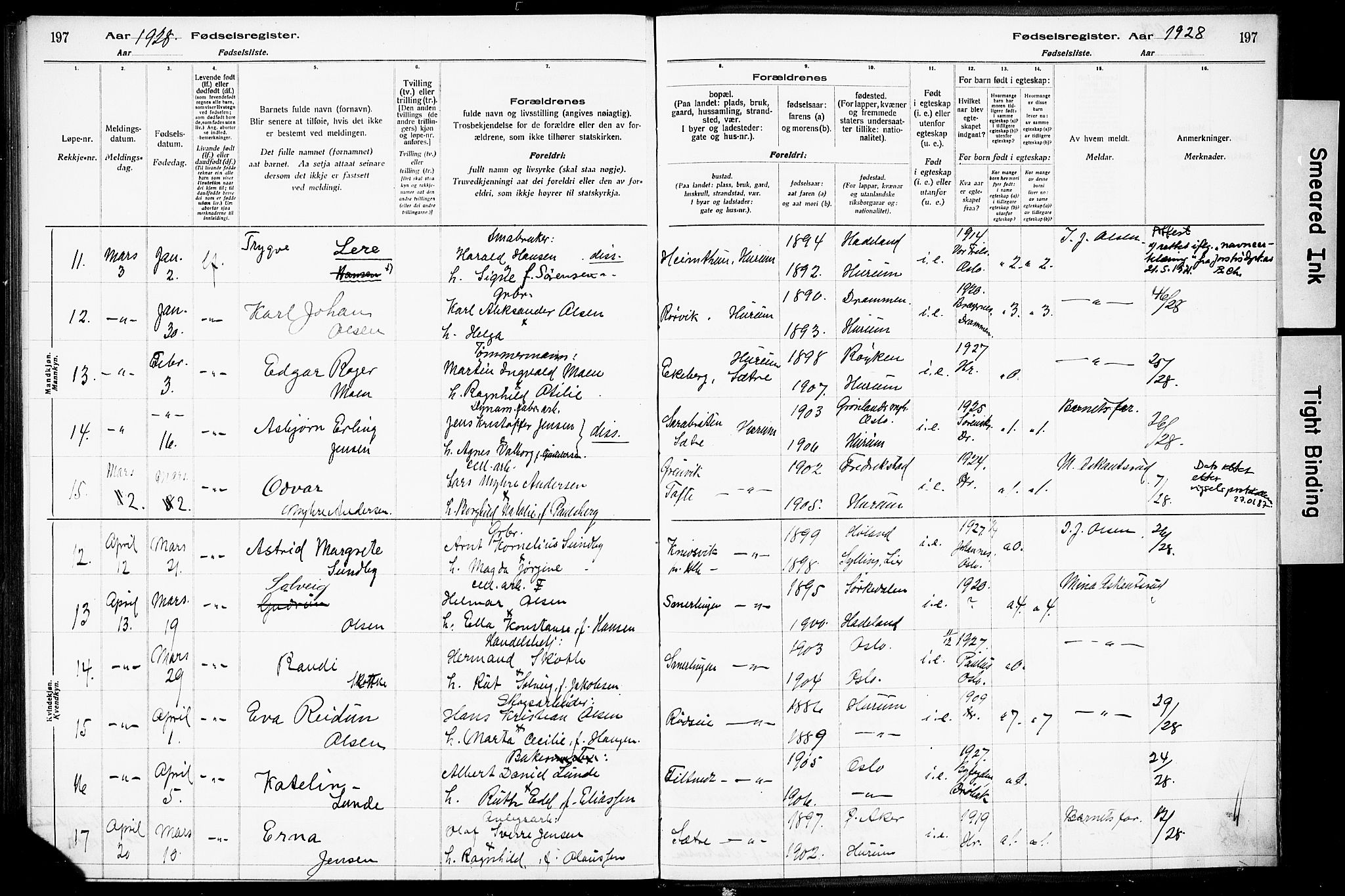 Hurum kirkebøker, AV/SAKO-A-229/J/Ja/L0001: Fødselsregister nr. 1, 1916-1928, s. 197