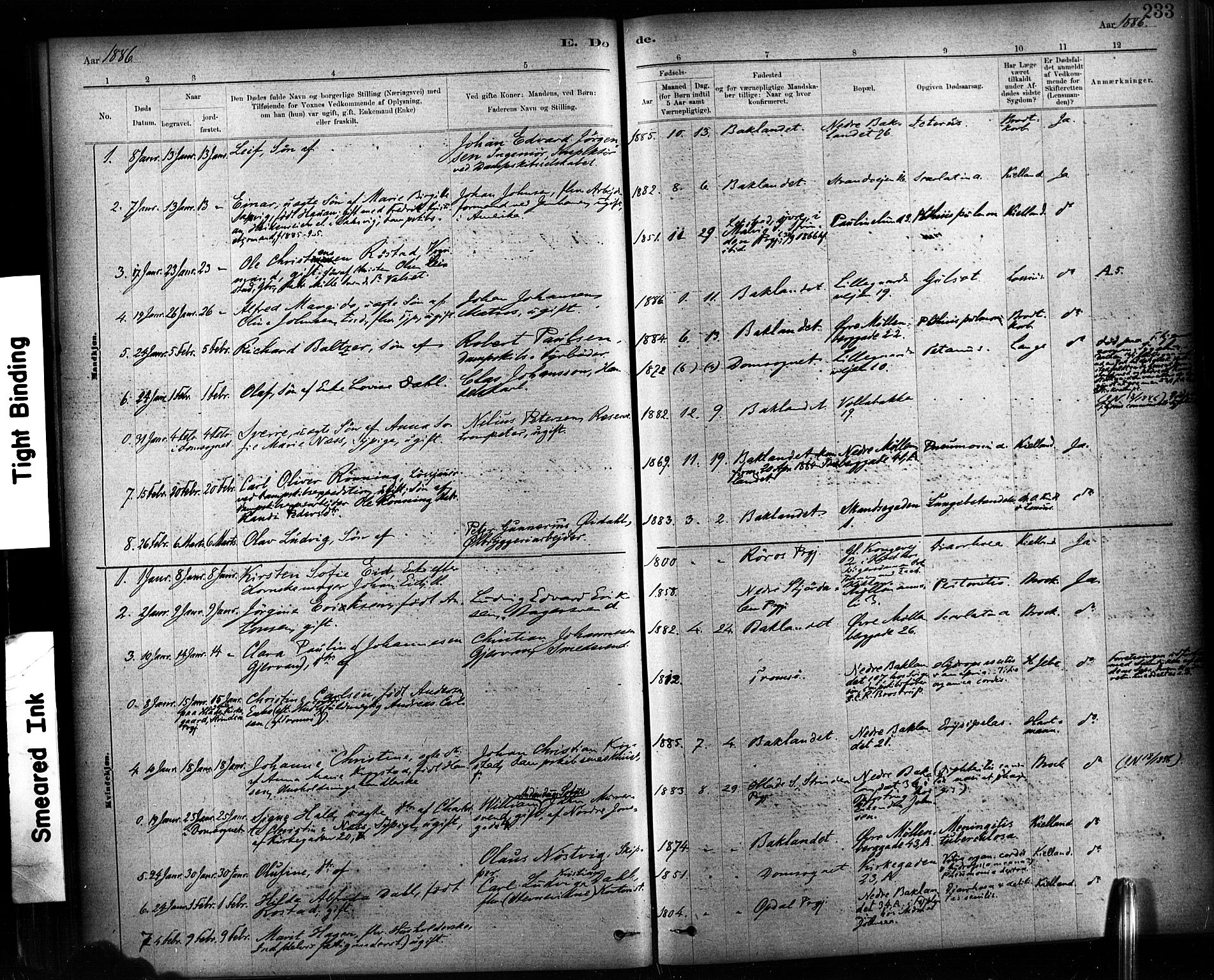 Ministerialprotokoller, klokkerbøker og fødselsregistre - Sør-Trøndelag, AV/SAT-A-1456/604/L0189: Ministerialbok nr. 604A10, 1878-1892, s. 233
