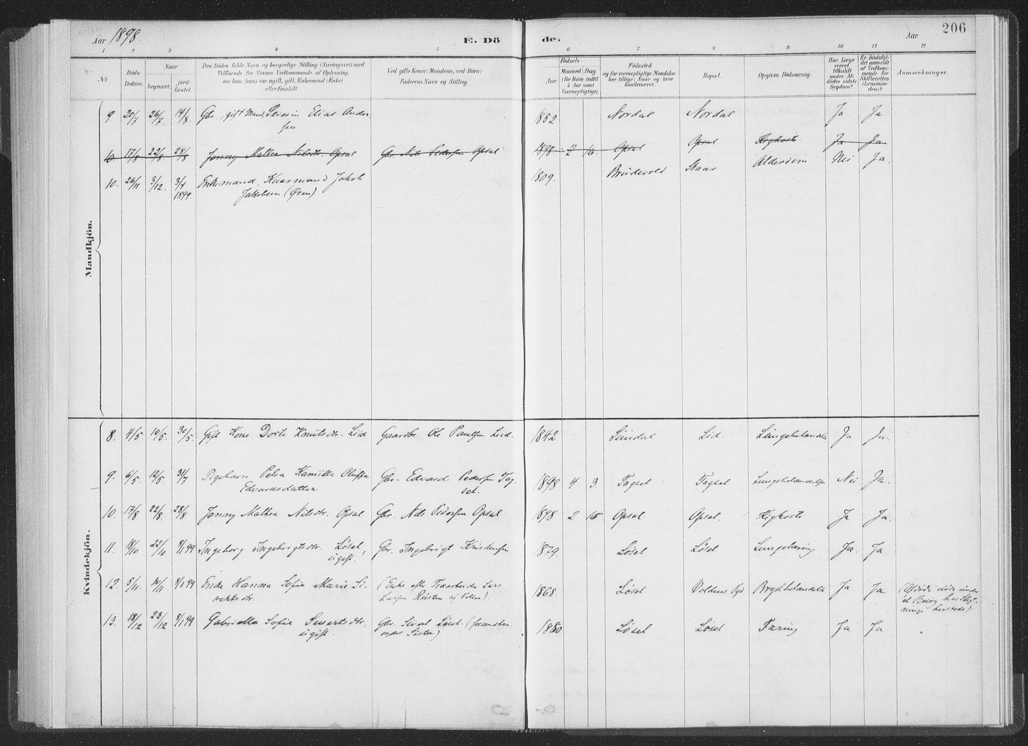 Ministerialprotokoller, klokkerbøker og fødselsregistre - Møre og Romsdal, AV/SAT-A-1454/502/L0025: Ministerialbok nr. 502A03, 1885-1909, s. 206