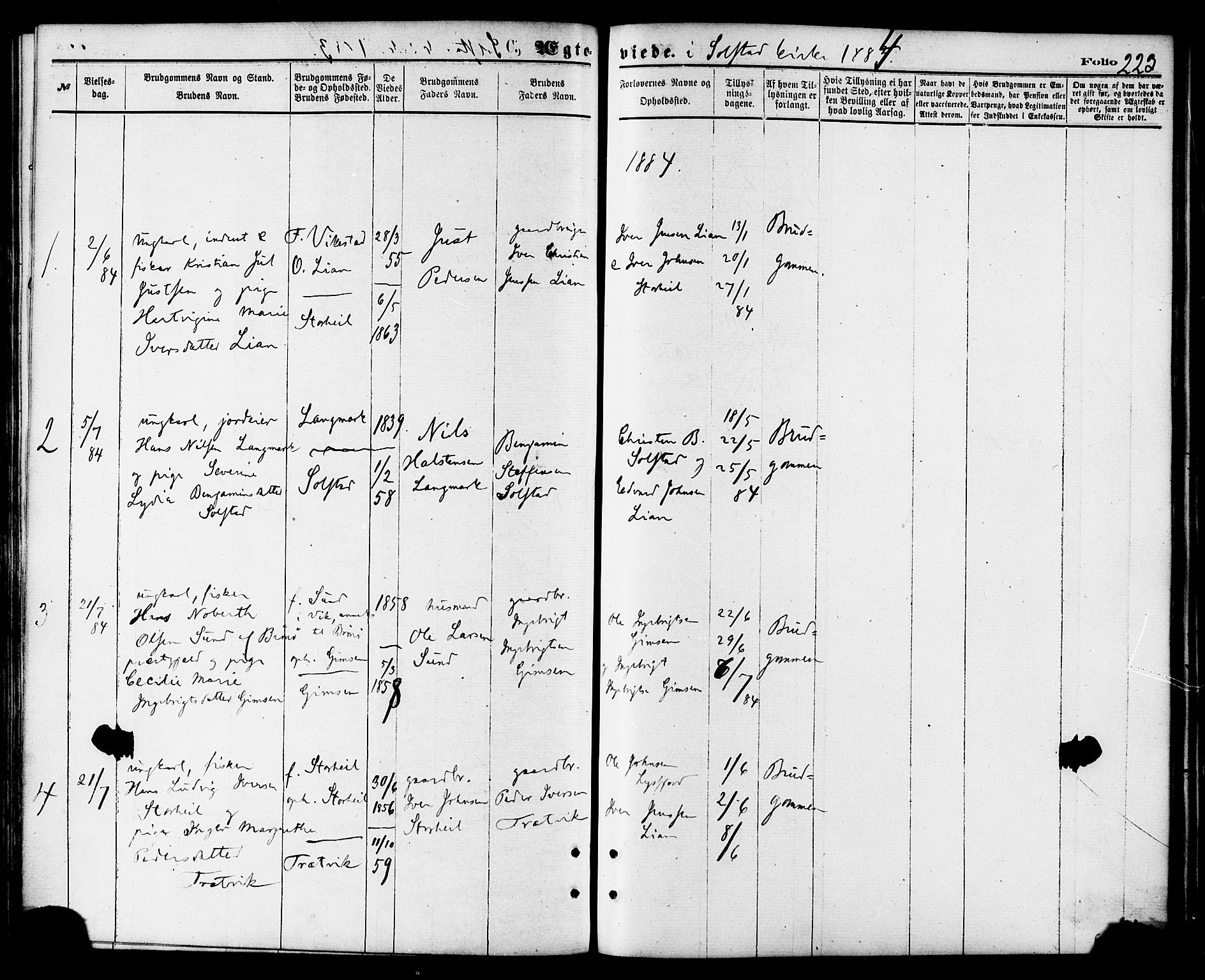 Ministerialprotokoller, klokkerbøker og fødselsregistre - Nordland, AV/SAT-A-1459/810/L0149: Ministerialbok nr. 810A09 /2, 1874-1884, s. 223
