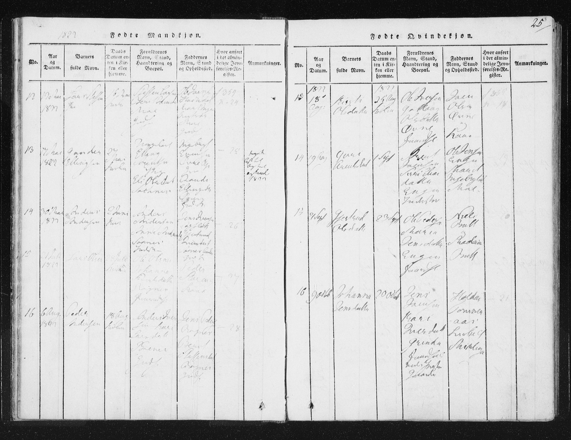 Ministerialprotokoller, klokkerbøker og fødselsregistre - Sør-Trøndelag, SAT/A-1456/687/L0996: Ministerialbok nr. 687A04, 1816-1842, s. 25