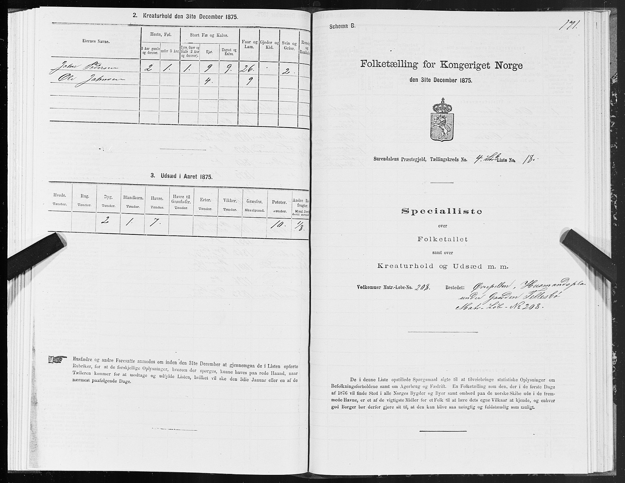 SAT, Folketelling 1875 for 1566P Surnadal prestegjeld, 1875, s. 2171