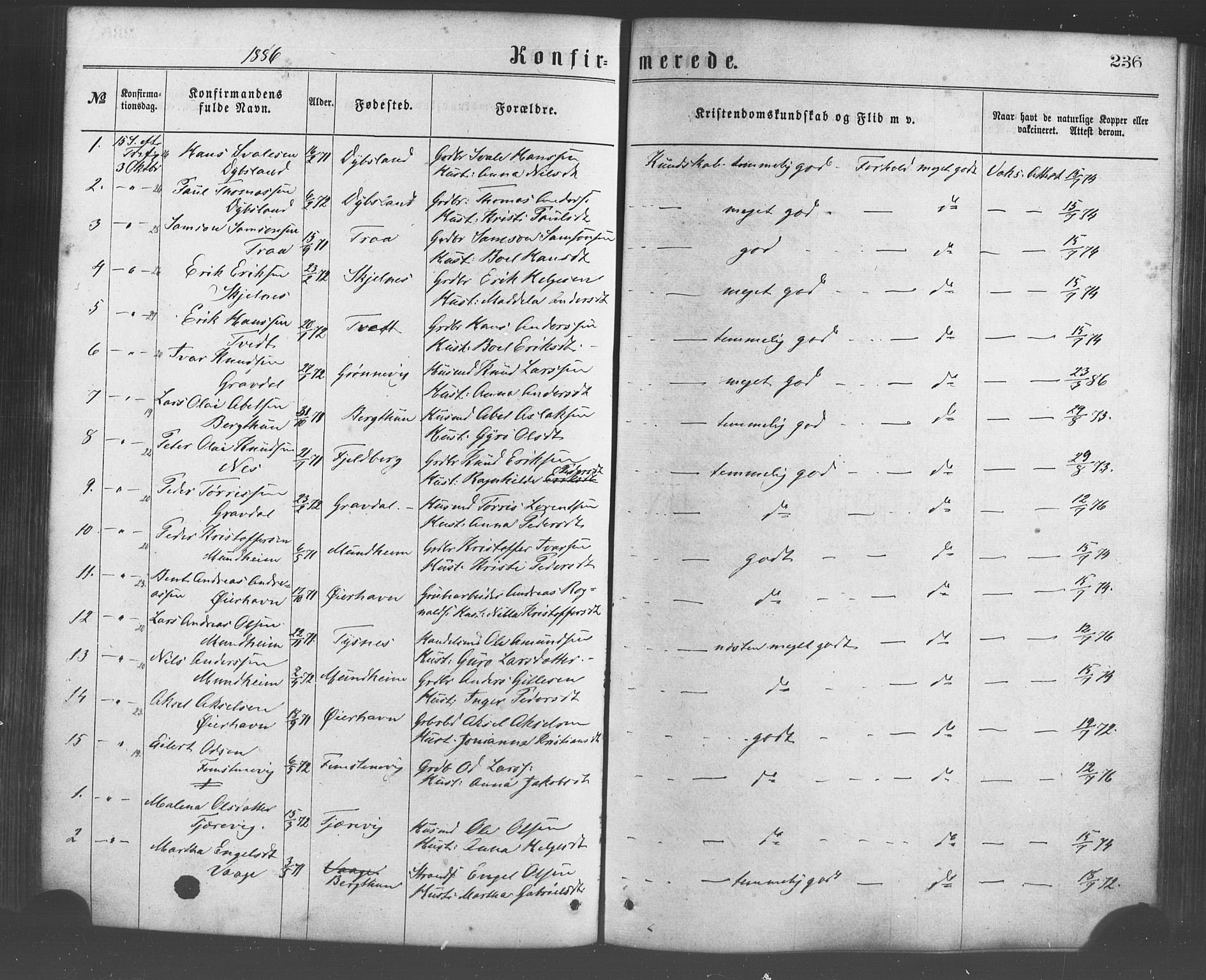 Strandebarm sokneprestembete, AV/SAB-A-78401/H/Haa: Ministerialbok nr. A 9, 1872-1886, s. 236