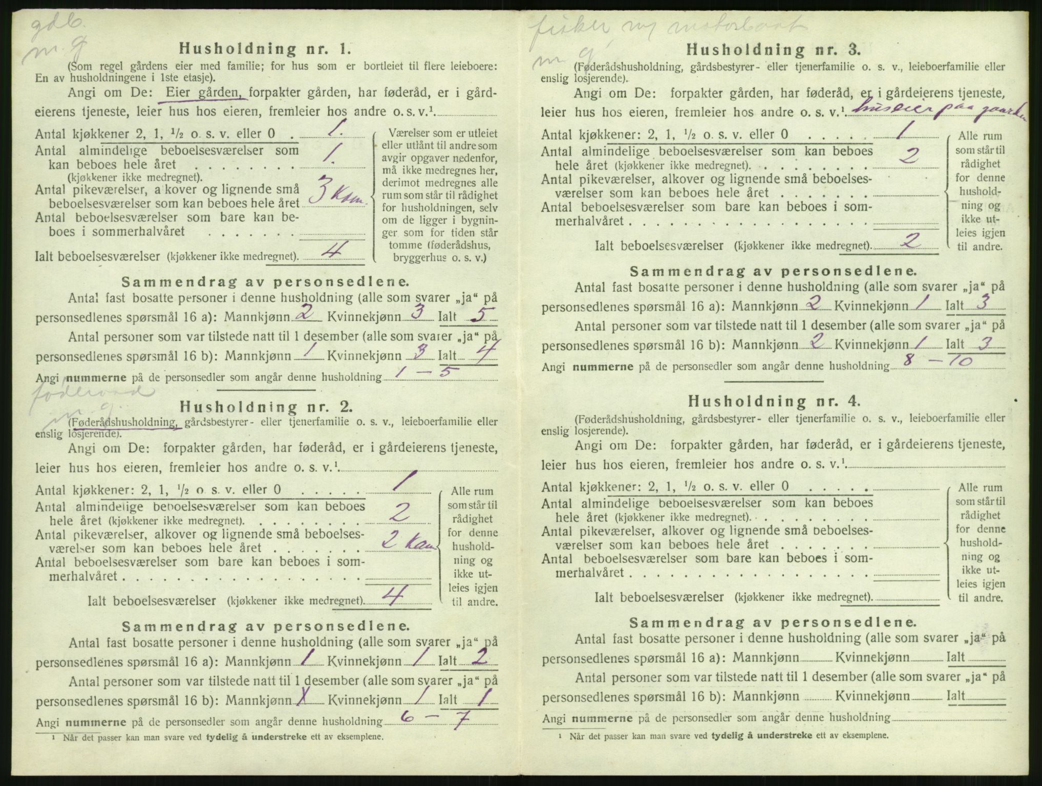 SAT, Folketelling 1920 for 1514 Sande herred, 1920, s. 205