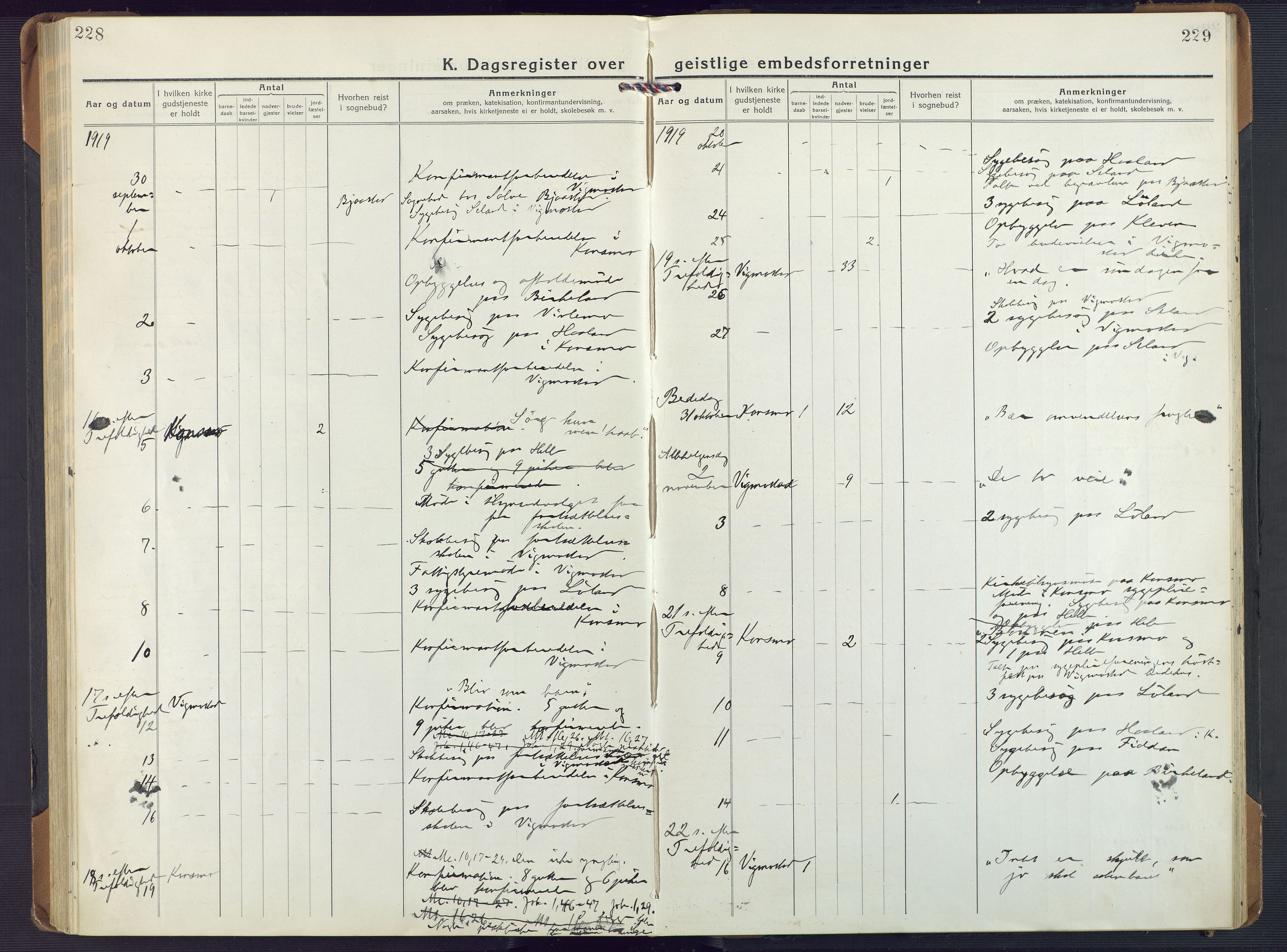 Nord-Audnedal sokneprestkontor, SAK/1111-0032/F/Fa/Fab/L0005: Ministerialbok nr. A 5, 1918-1925, s. 228-229