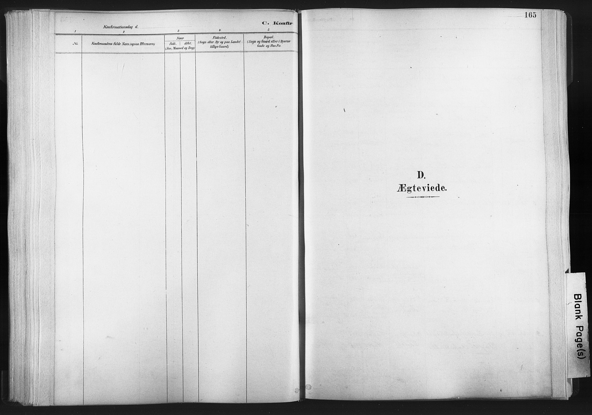 Ministerialprotokoller, klokkerbøker og fødselsregistre - Nord-Trøndelag, AV/SAT-A-1458/749/L0474: Ministerialbok nr. 749A08, 1887-1903, s. 165