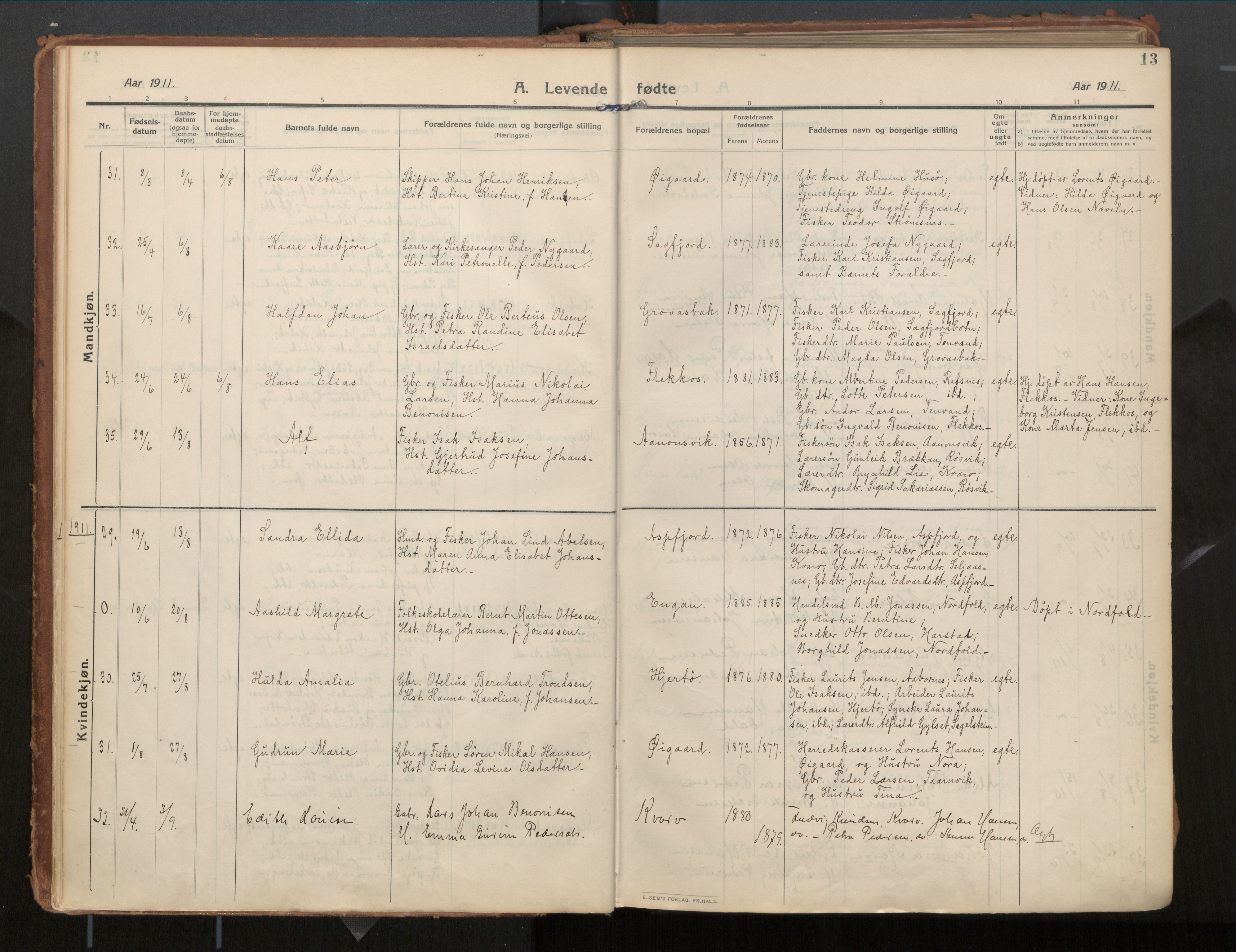 Ministerialprotokoller, klokkerbøker og fødselsregistre - Nordland, AV/SAT-A-1459/854/L0784: Ministerialbok nr. 854A07, 1910-1922, s. 13