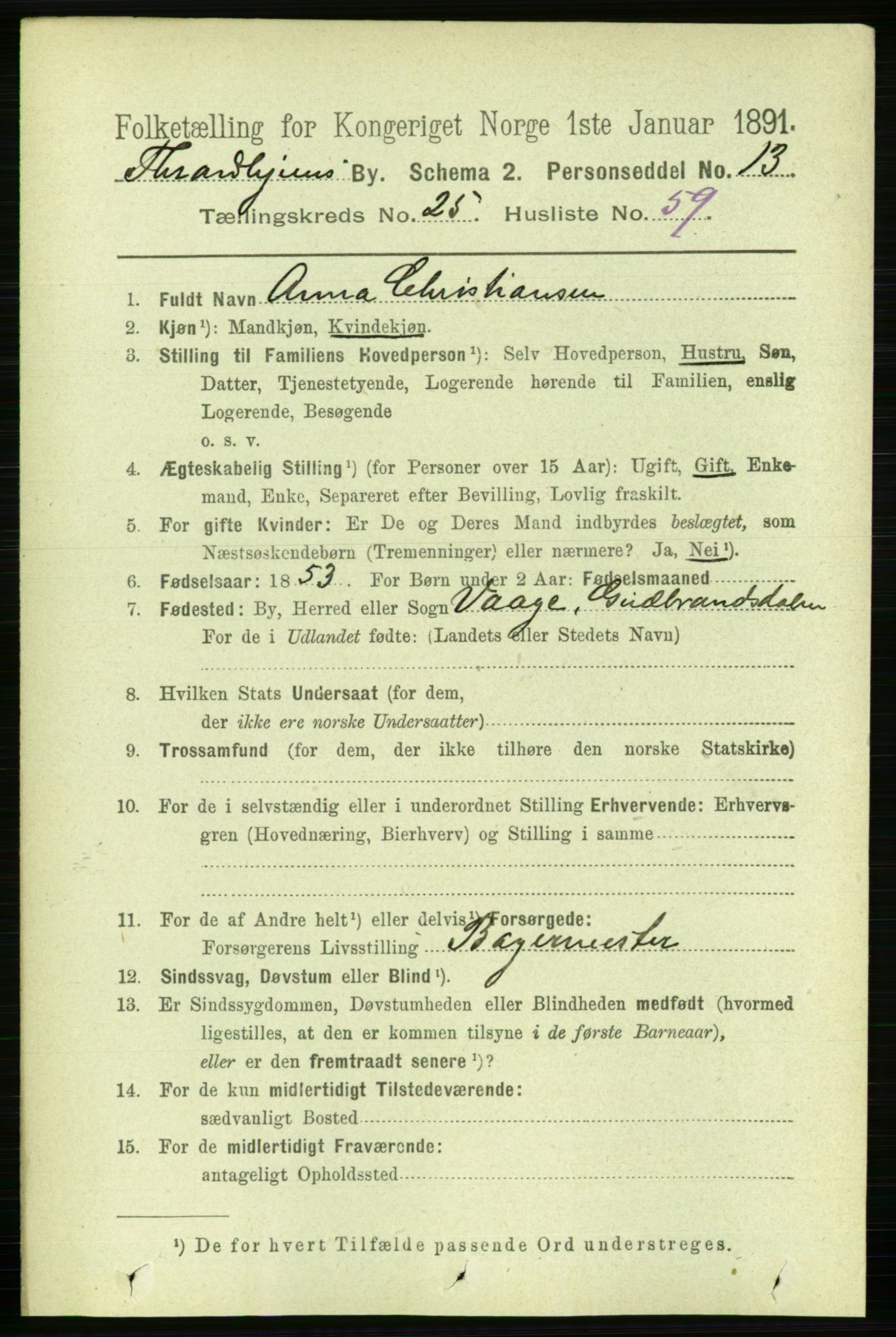 RA, Folketelling 1891 for 1601 Trondheim kjøpstad, 1891, s. 19405