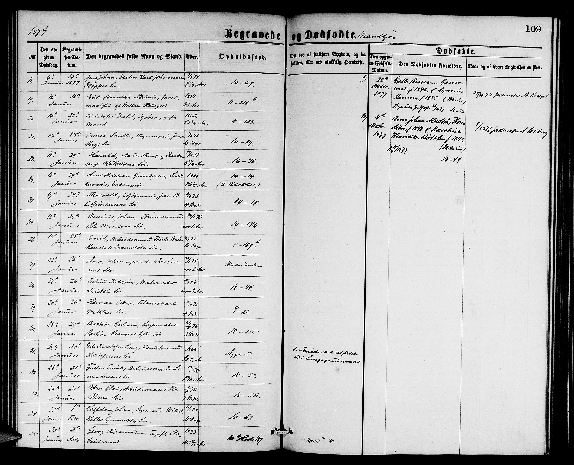 Domkirken sokneprestembete, AV/SAB-A-74801/H/Hab/L0040: Klokkerbok nr. E 4, 1868-1877, s. 109