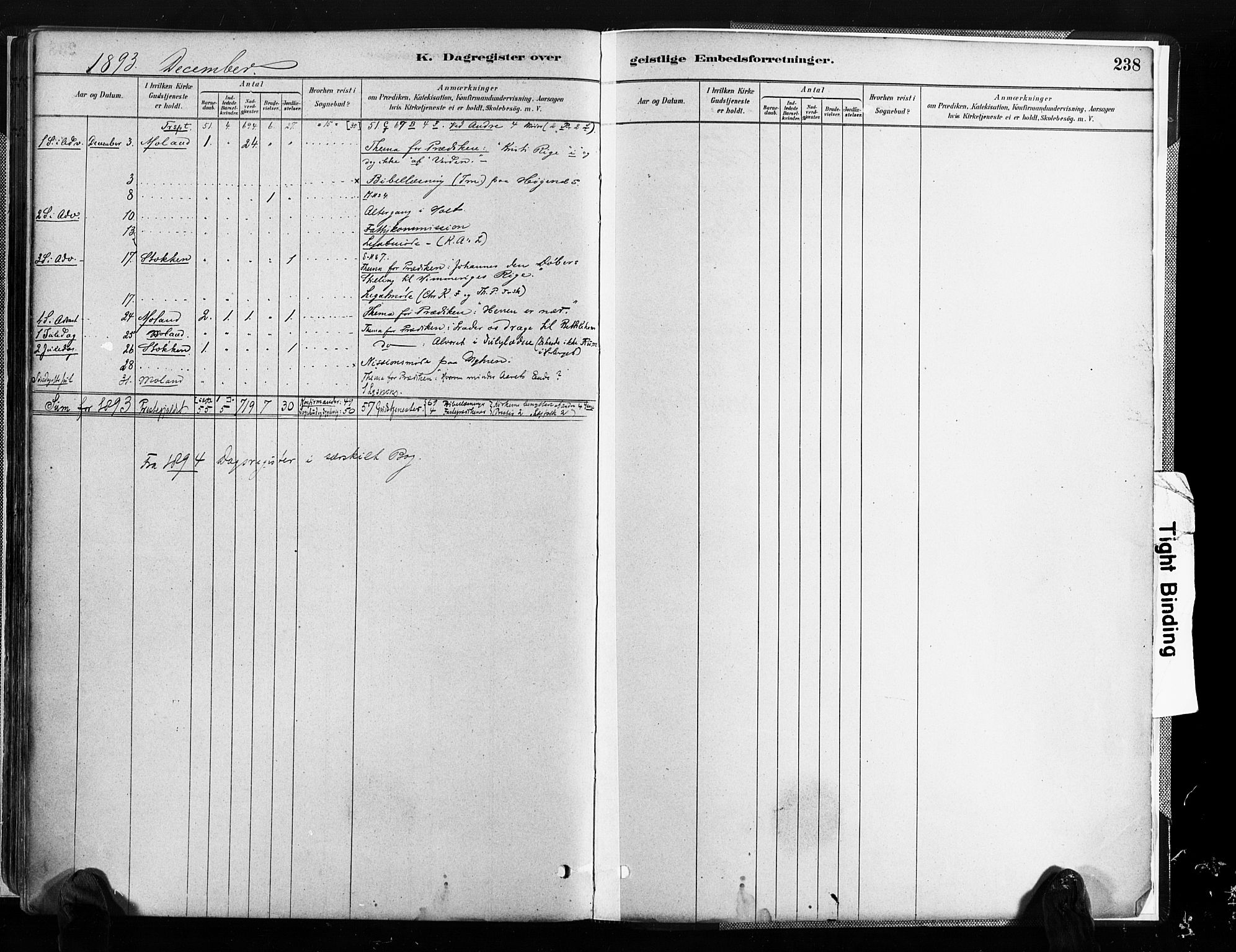 Austre Moland sokneprestkontor, AV/SAK-1111-0001/F/Fa/Faa/L0010: Ministerialbok nr. A 10, 1880-1904, s. 238