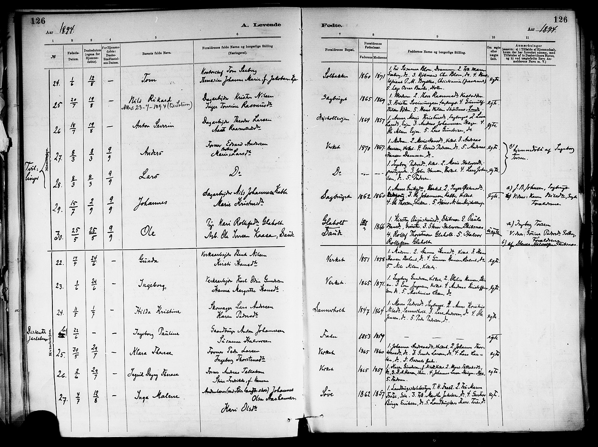 Holla kirkebøker, AV/SAKO-A-272/F/Fa/L0008: Ministerialbok nr. 8, 1882-1897, s. 126
