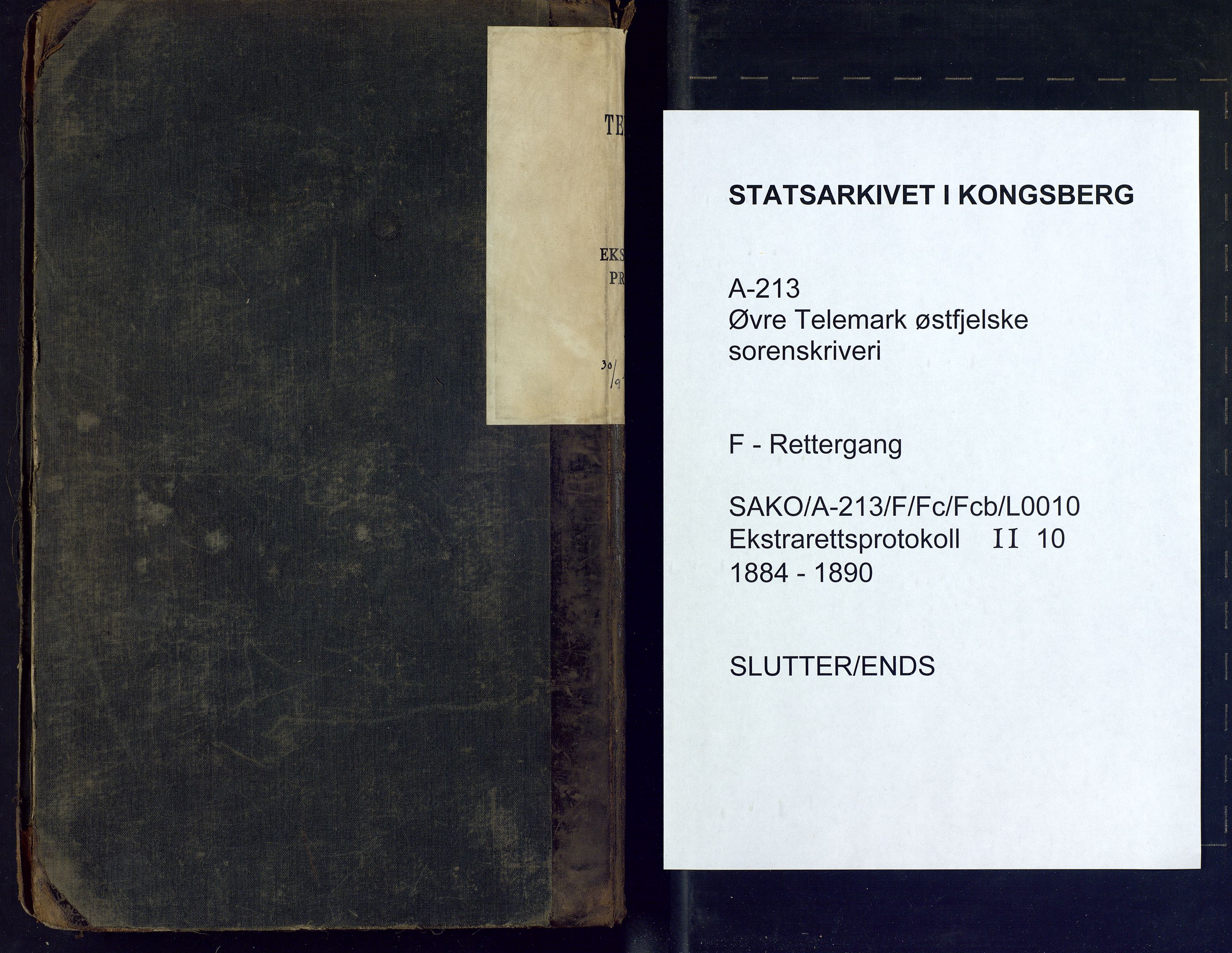 Øvre Telemark østfjelske sorenskriveri, SAKO/A-213/F/Fc/Fcb/L0010: Ekstrarettsprotokoll, straffesaker, 1884-1890, s. 142