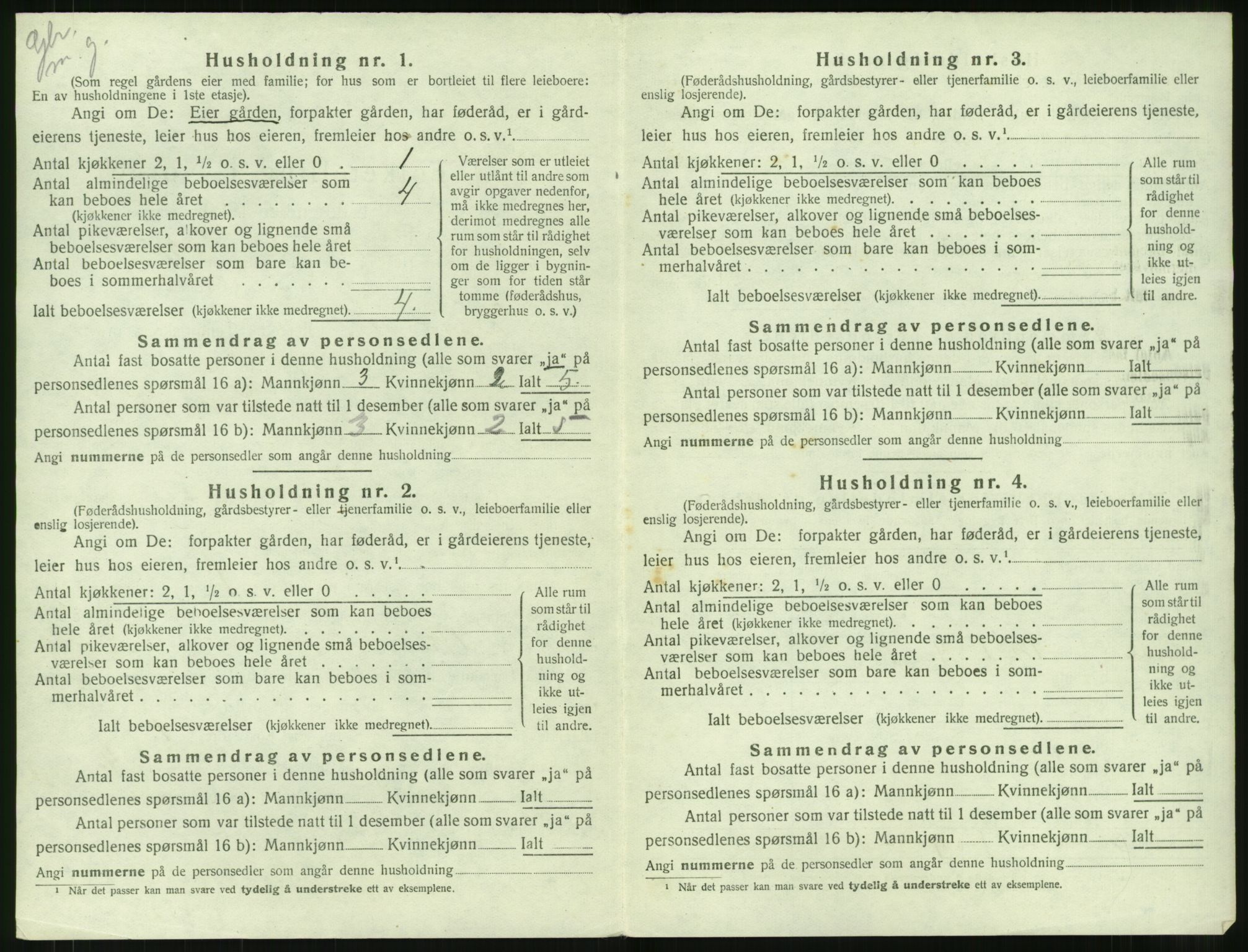 SAT, Folketelling 1920 for 1533 Vigra herred, 1920, s. 213