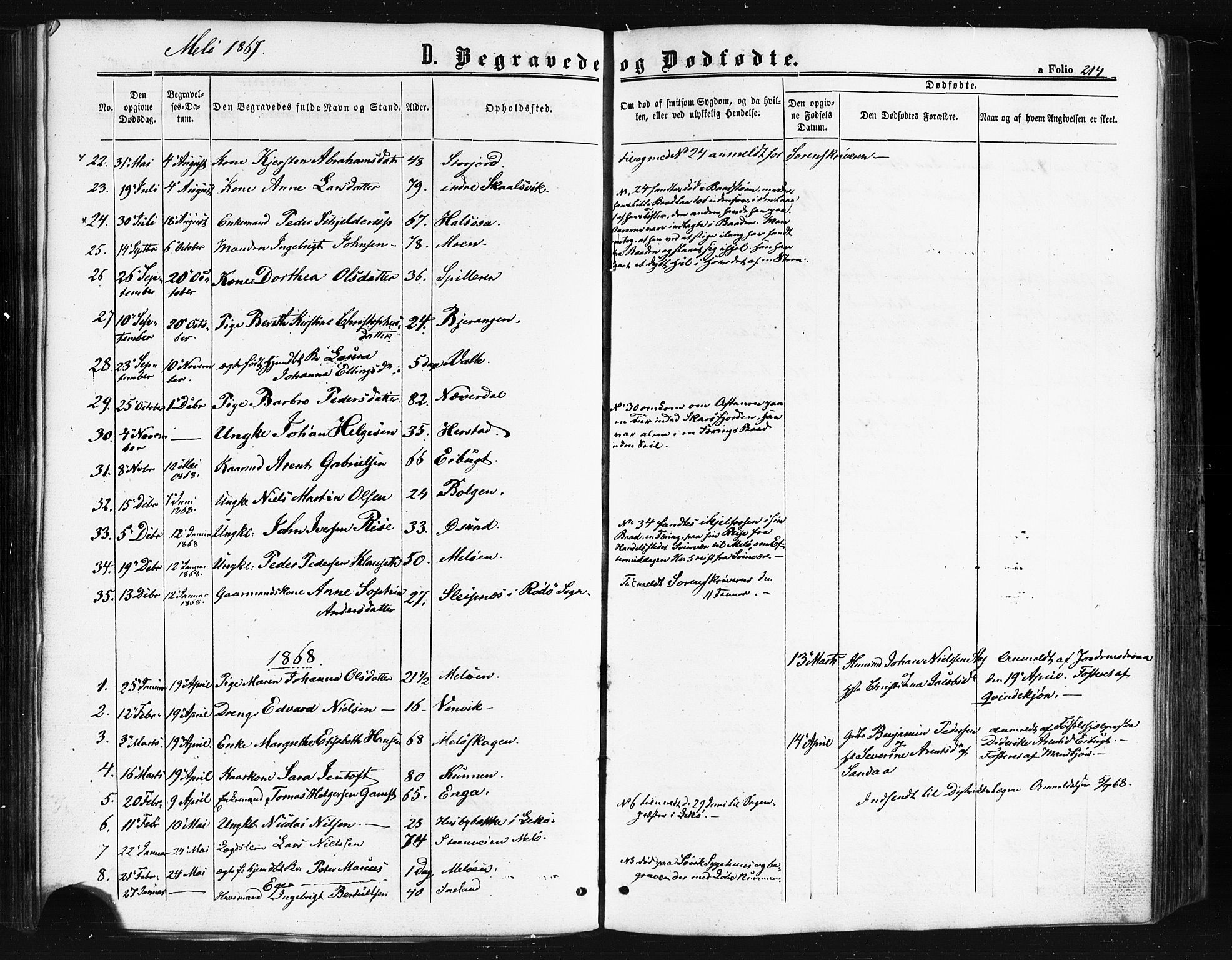 Ministerialprotokoller, klokkerbøker og fødselsregistre - Nordland, SAT/A-1459/841/L0607: Ministerialbok nr. 841A11 /2, 1863-1877, s. 214